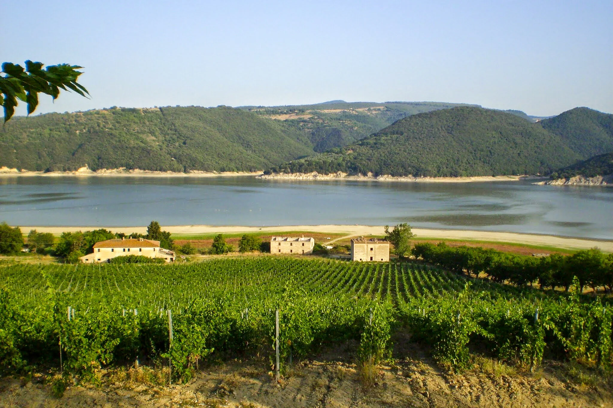 ilMagnicifo-051.jpg