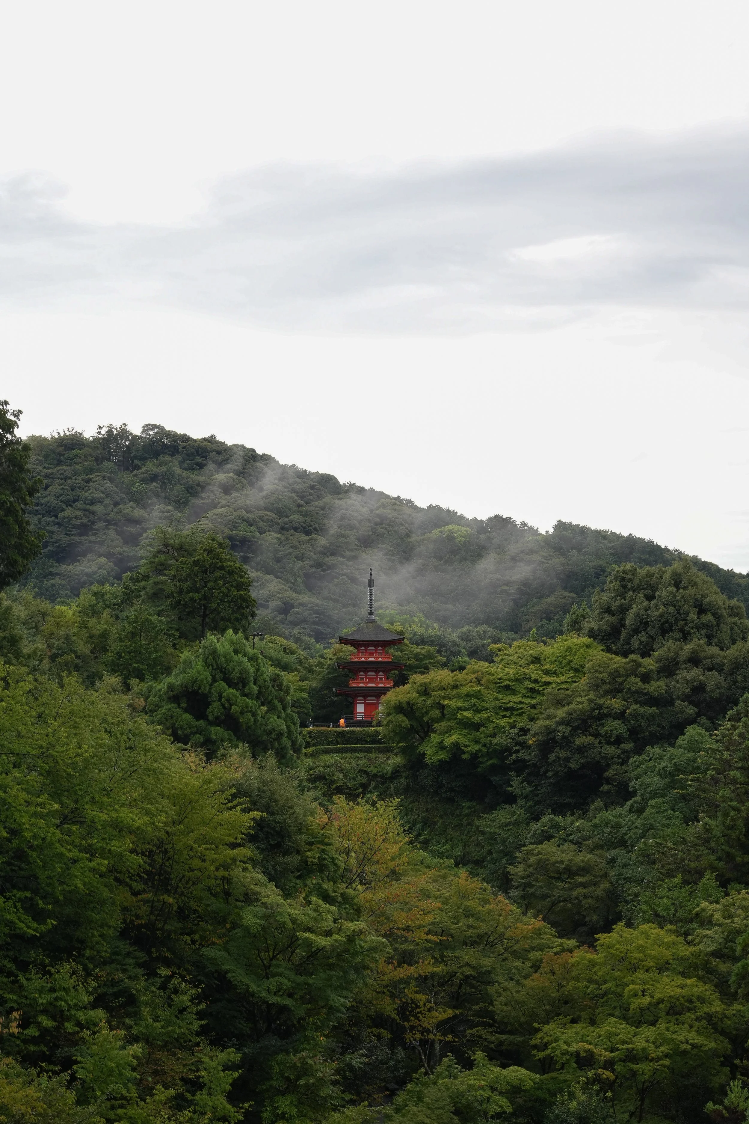 Nippon-0674.jpg
