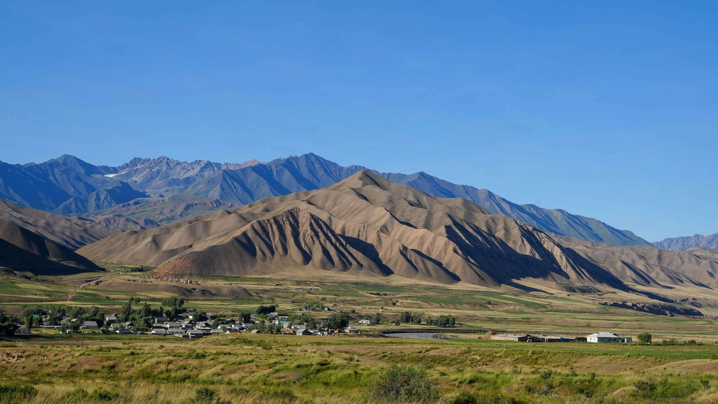 Great Game (2024)-0826.jpg