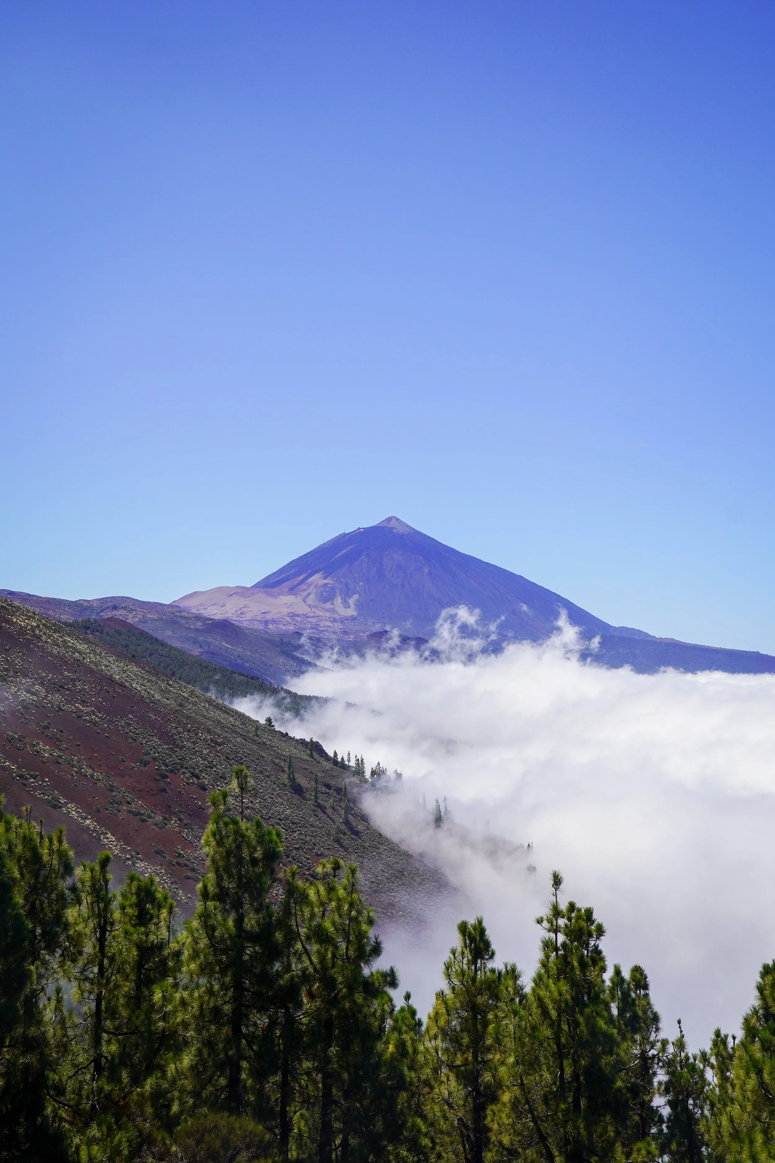 Picodromo-448.jpg