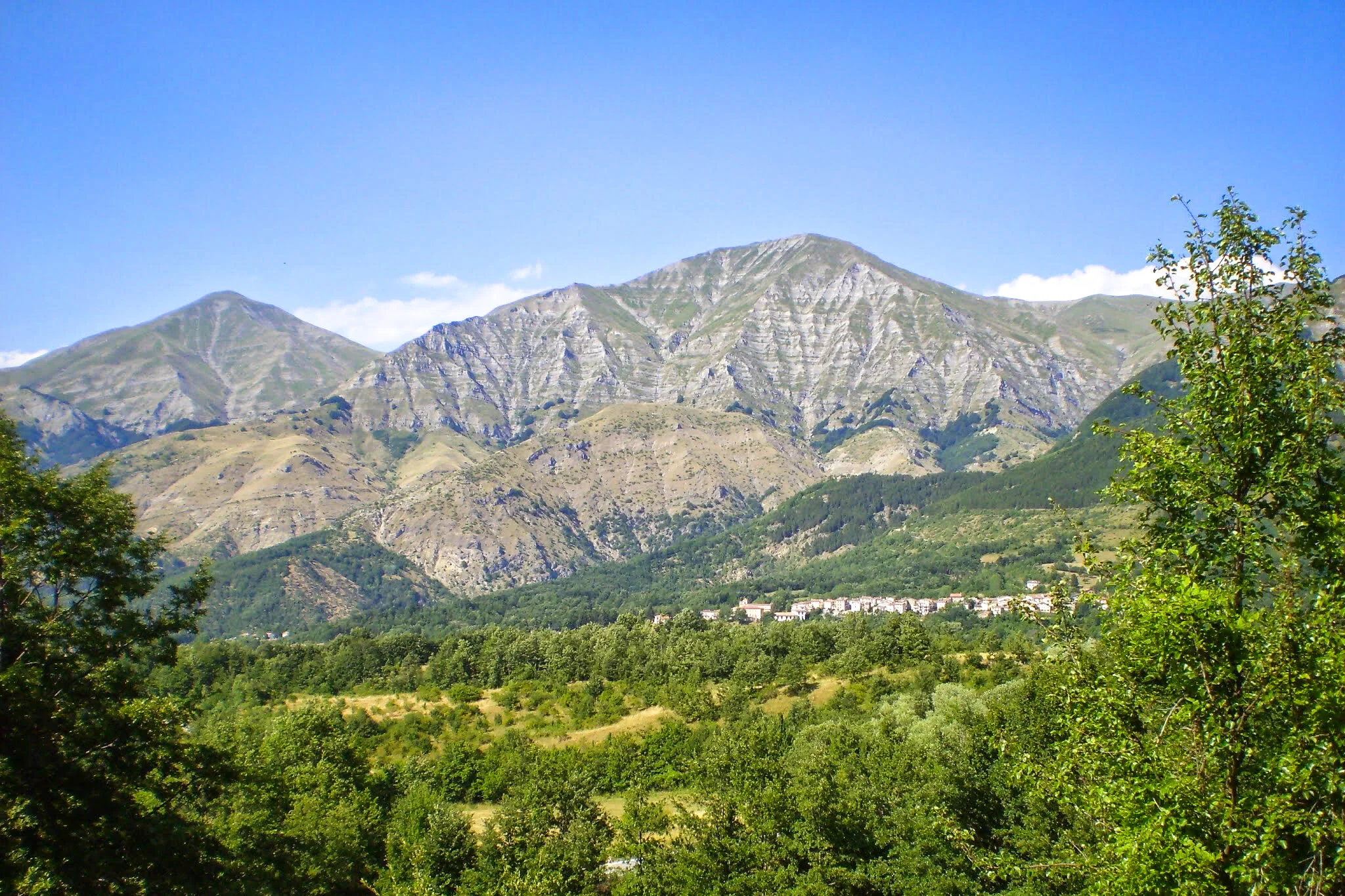 ilMagnicifo-081.jpg