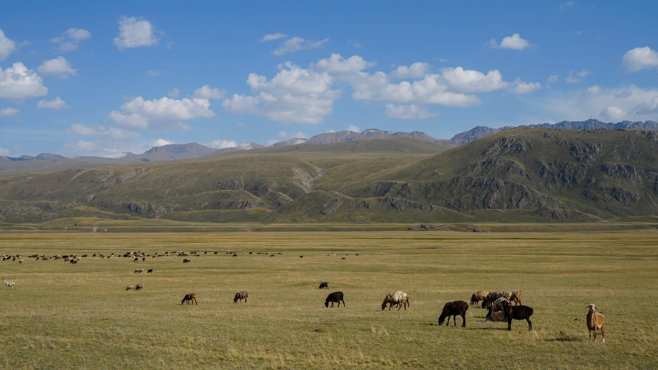 Great Game (2024)-0934.jpg