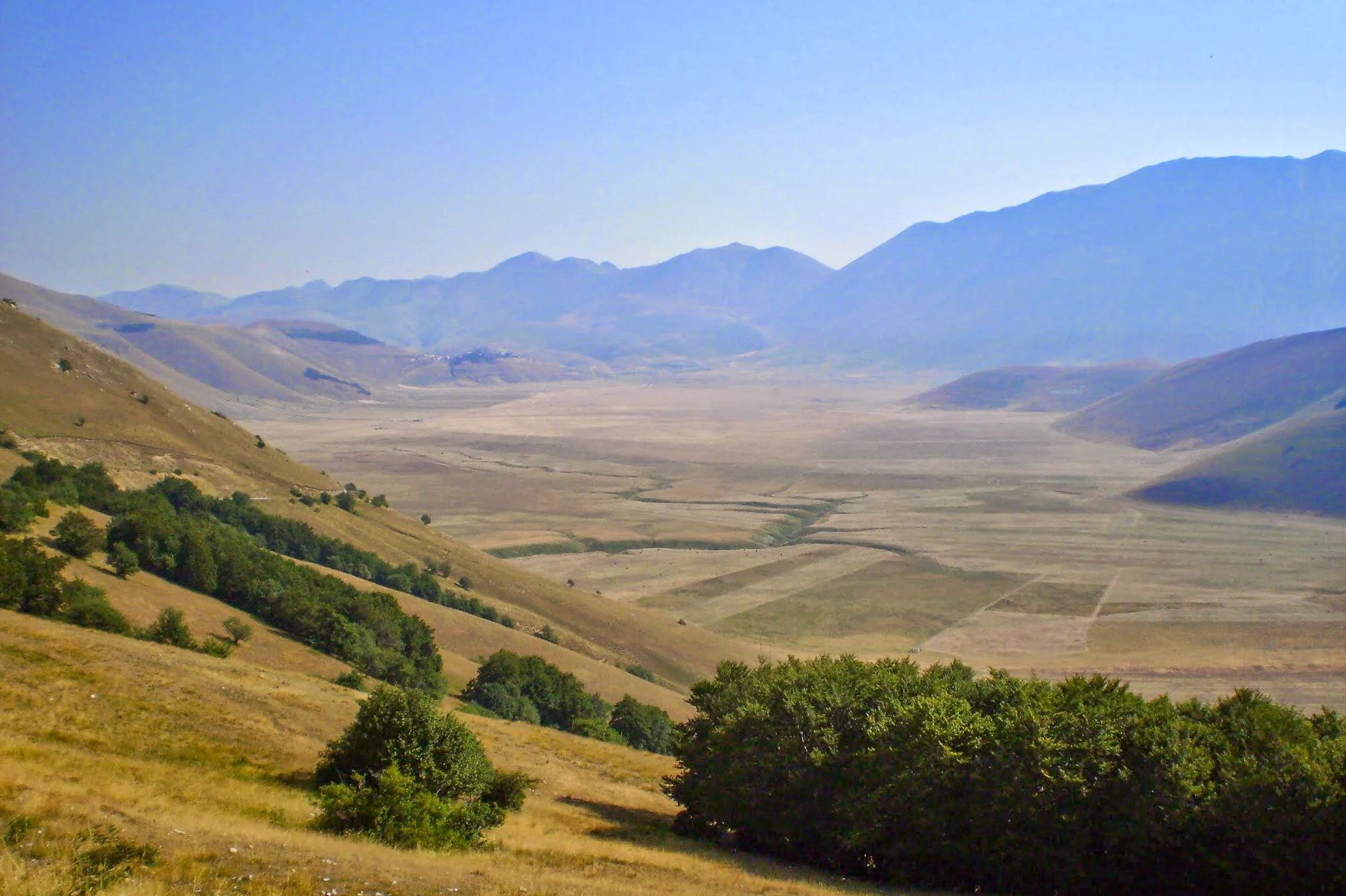 ilMagnicifo-075.jpg
