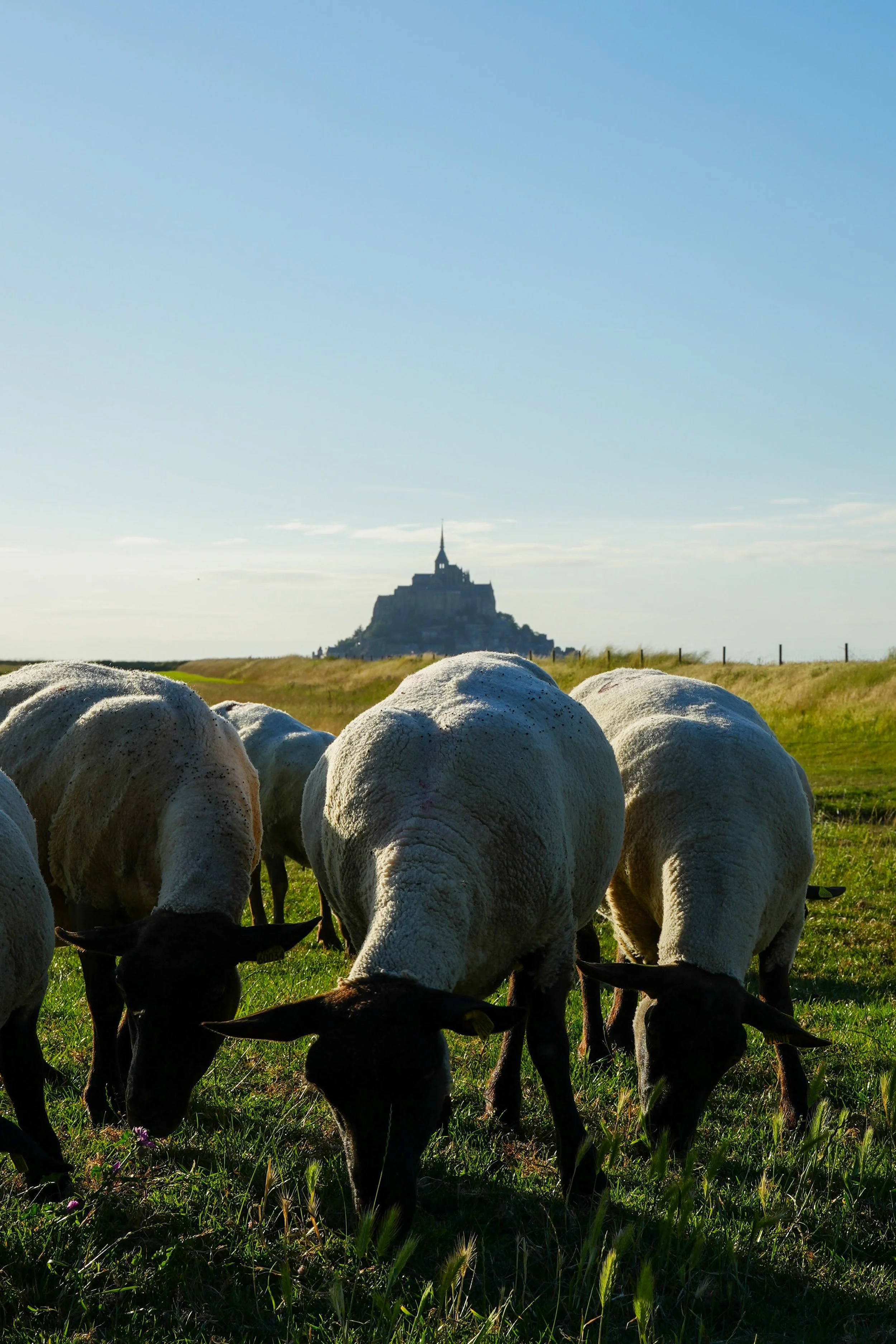 Normandy-081.jpg