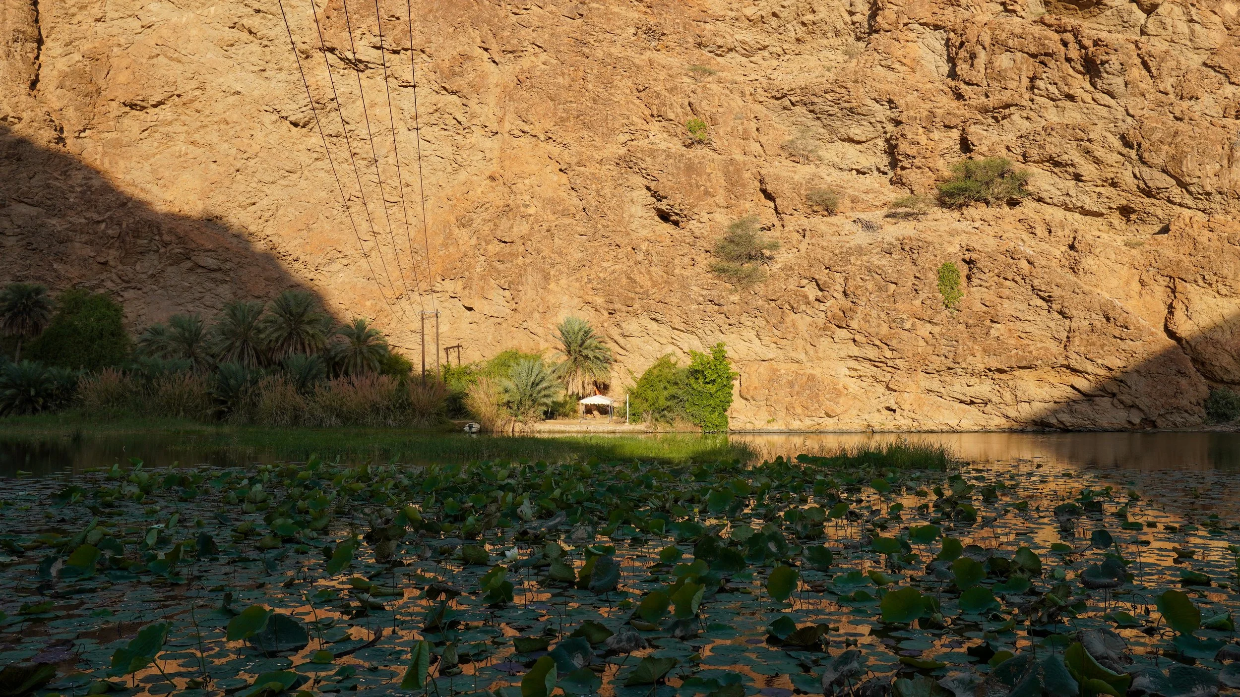 Oman-172.jpg