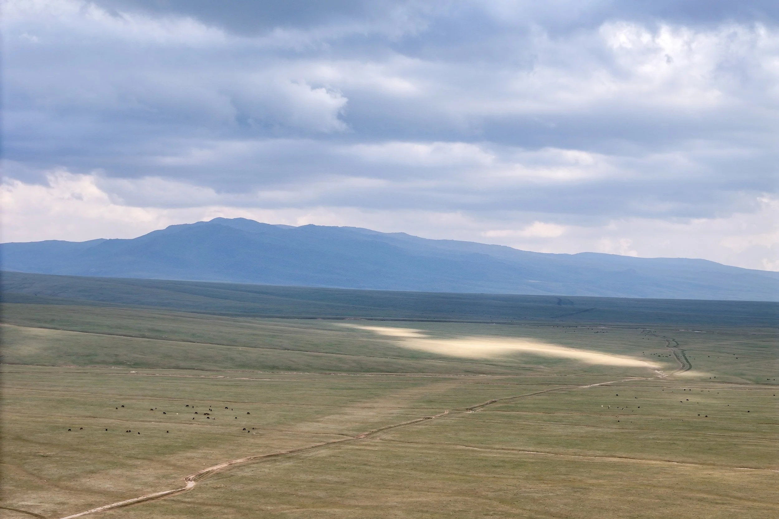 Great Game (2024)-483.jpg