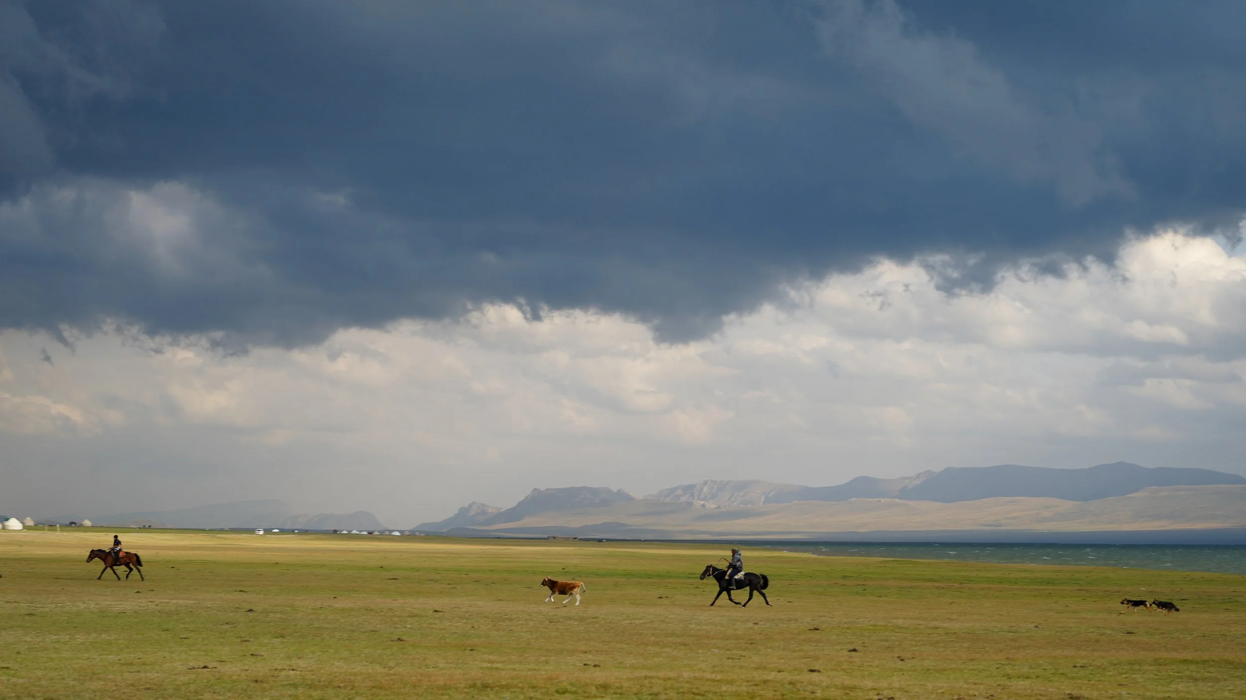 Great Game (2024)-498.jpg