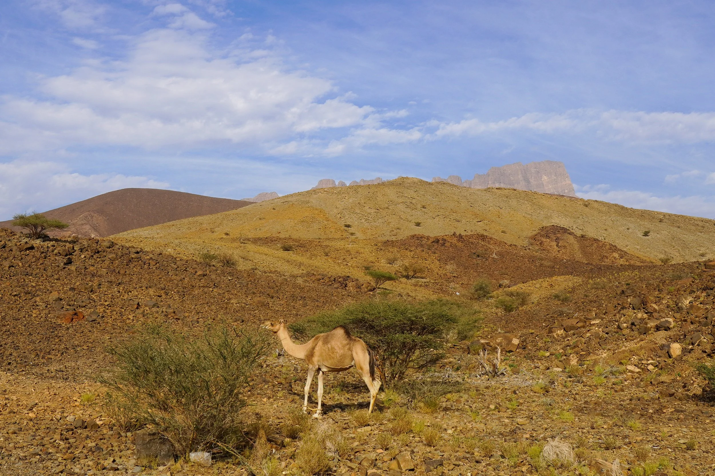 Oman-589.jpg