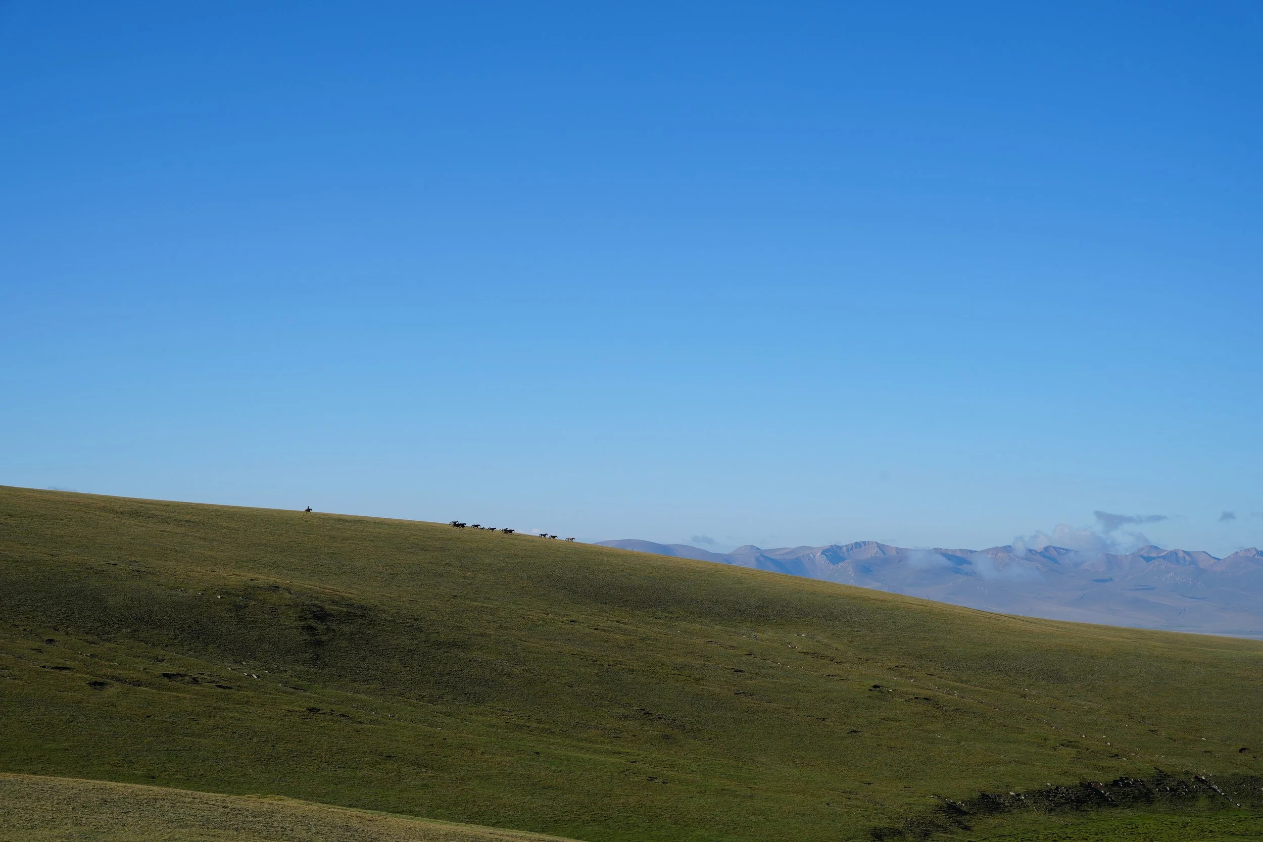 Great Game (2024)-560.jpg