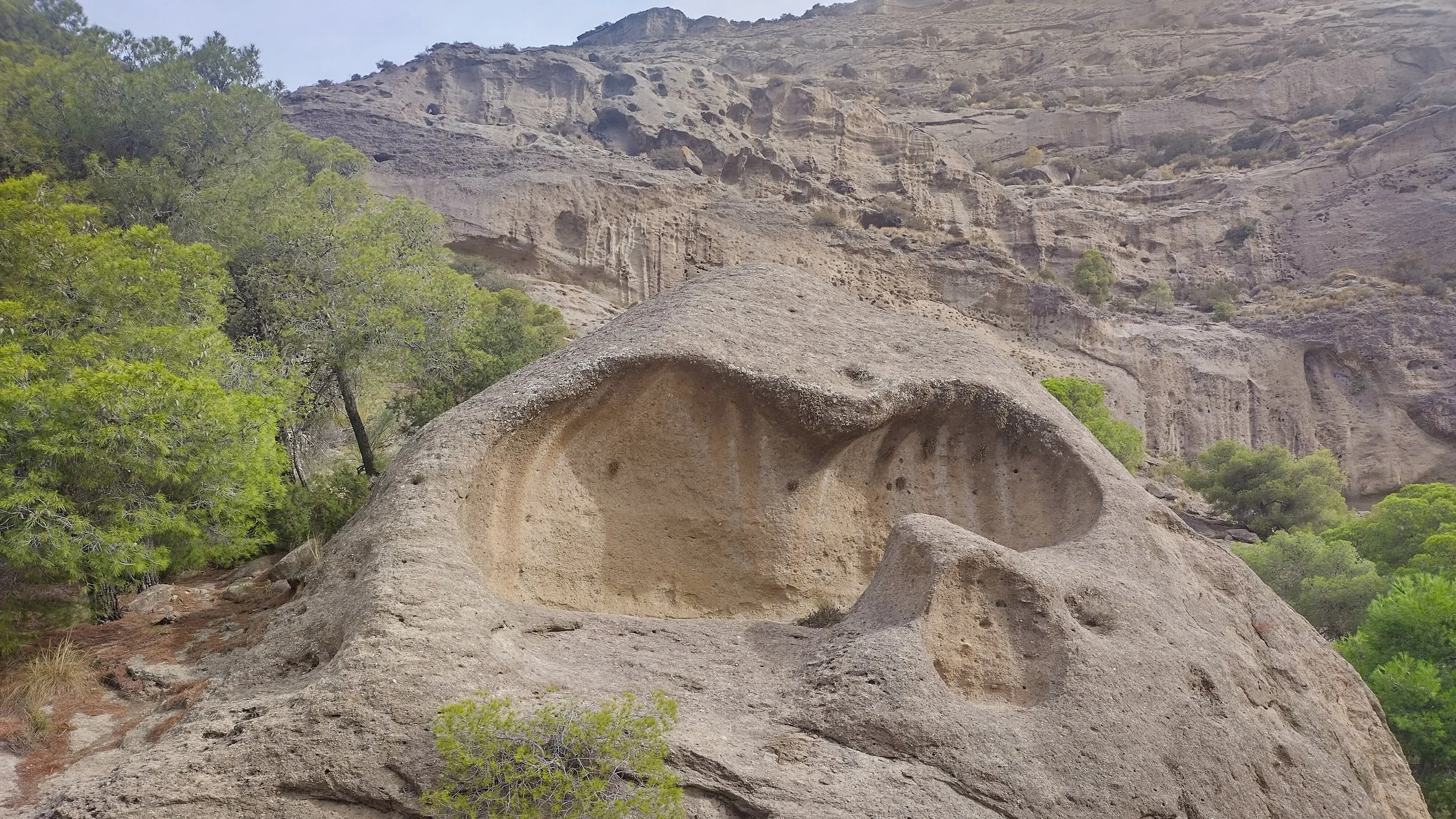 Andalusia-290.jpg