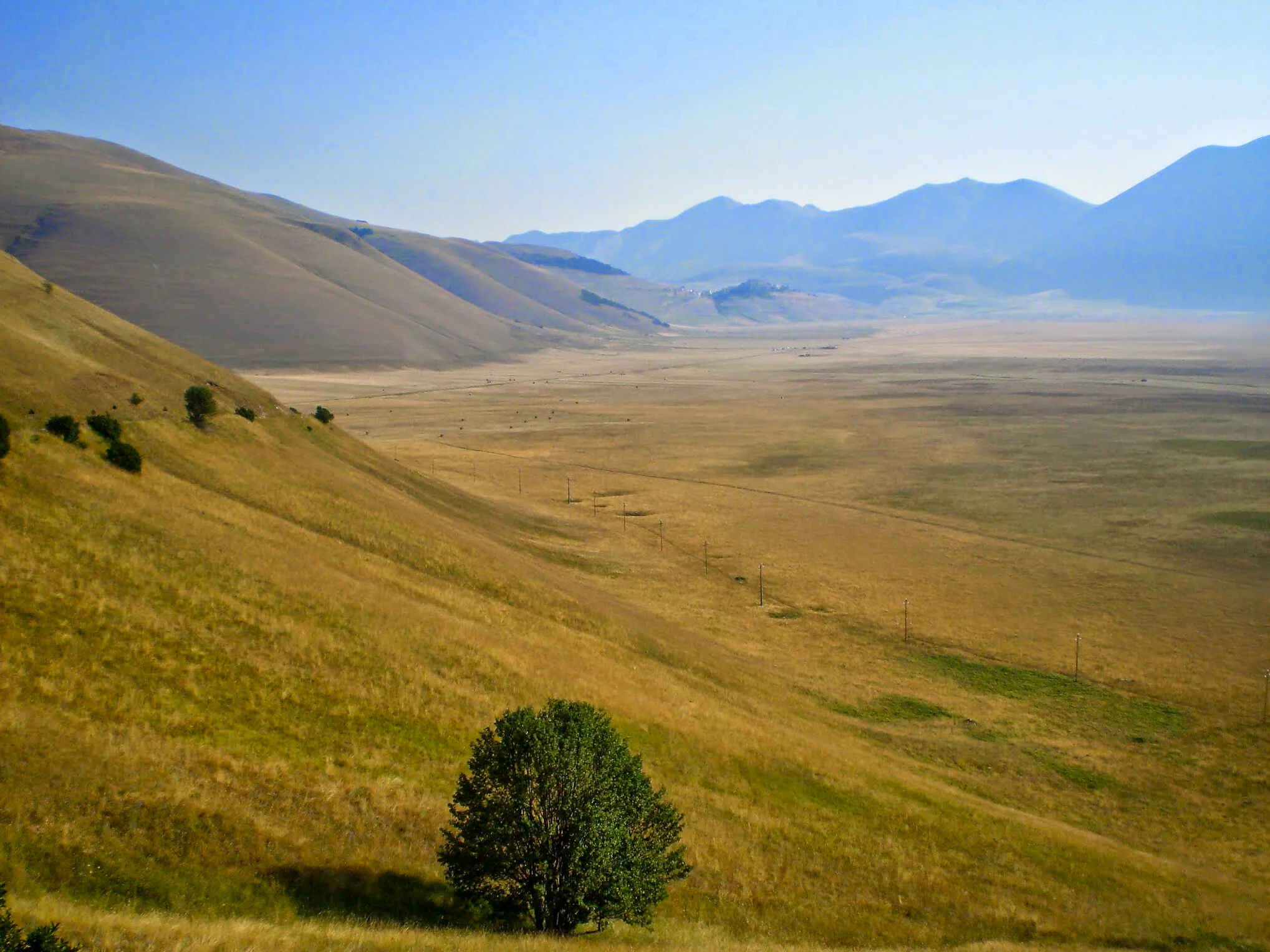 ilMagnicifo-072.jpg