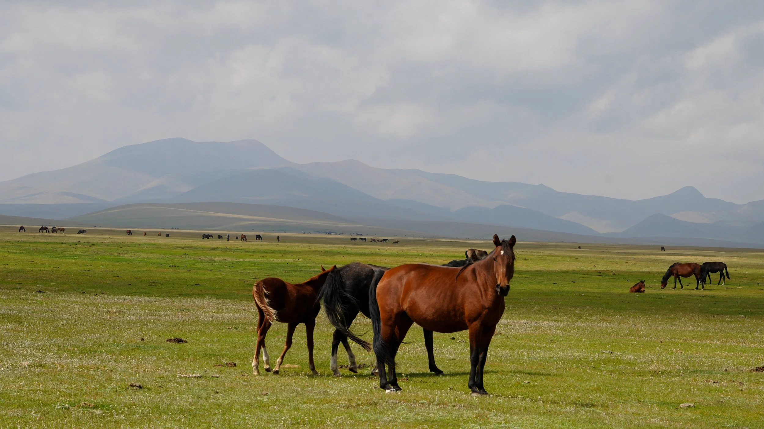 Great Game (2024)-452.jpg