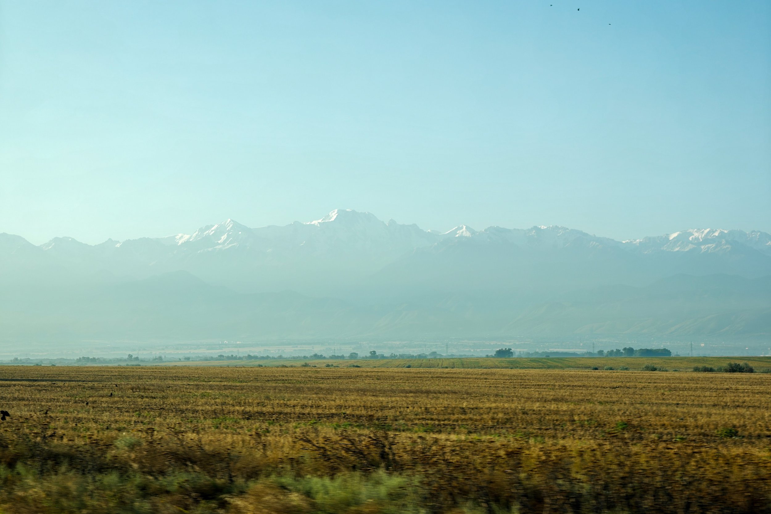 Great Game (2024)-1360.jpg