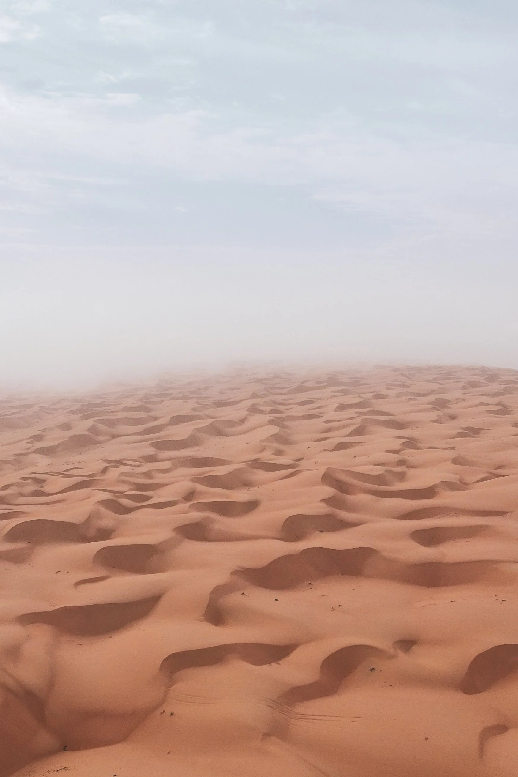 Oman-322.jpg
