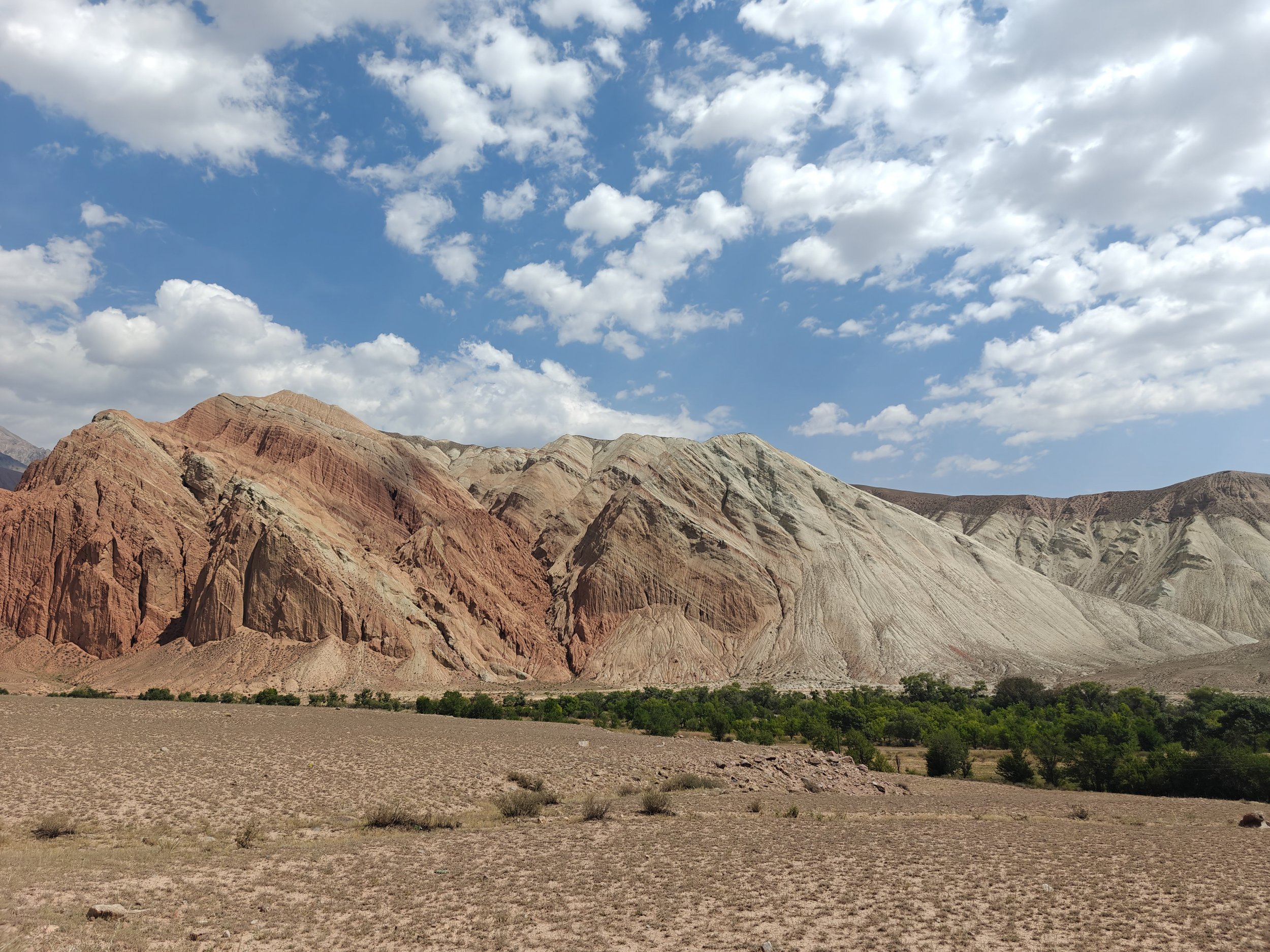 Great Game (2024)-254.jpg