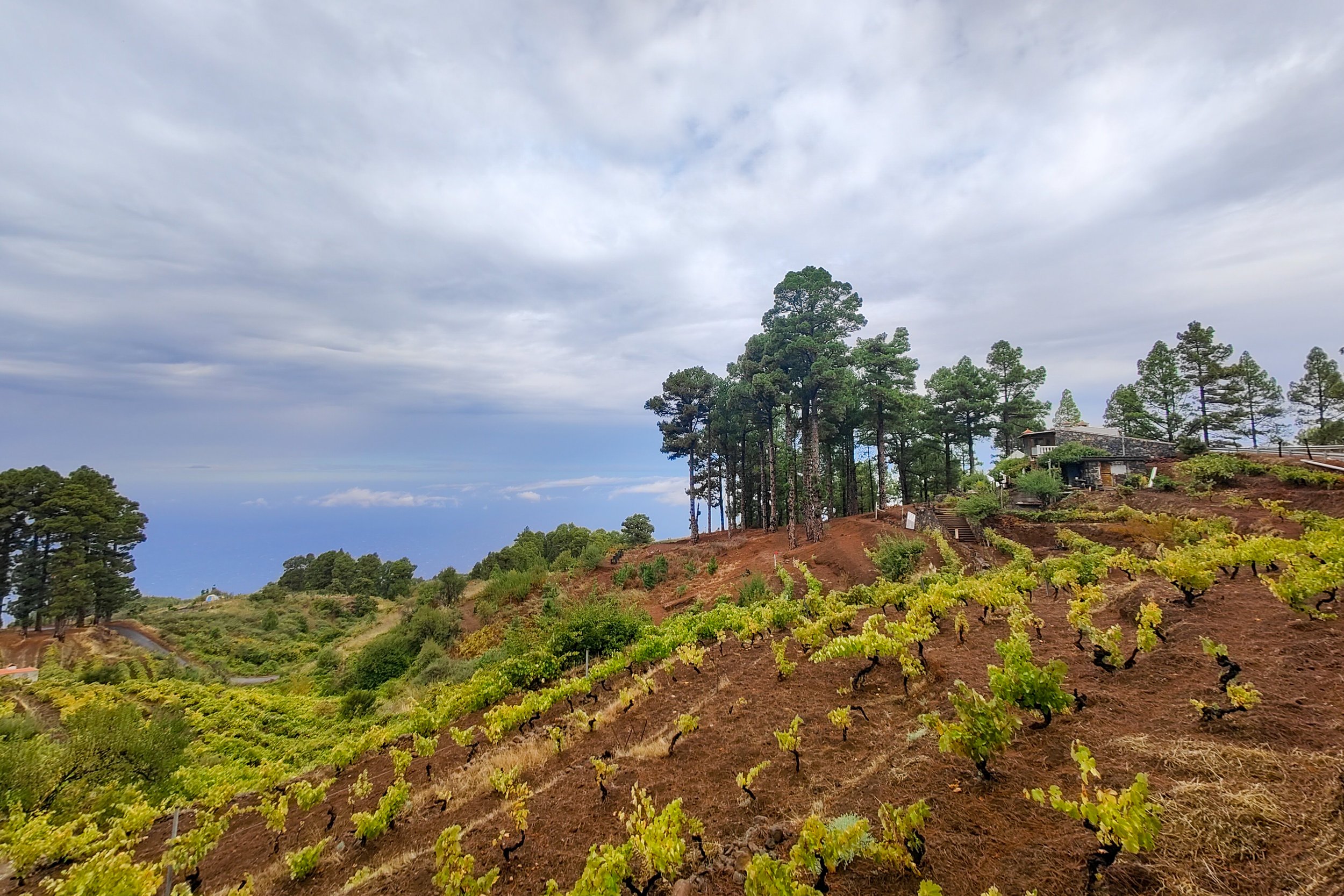 Picodromo-174.jpg
