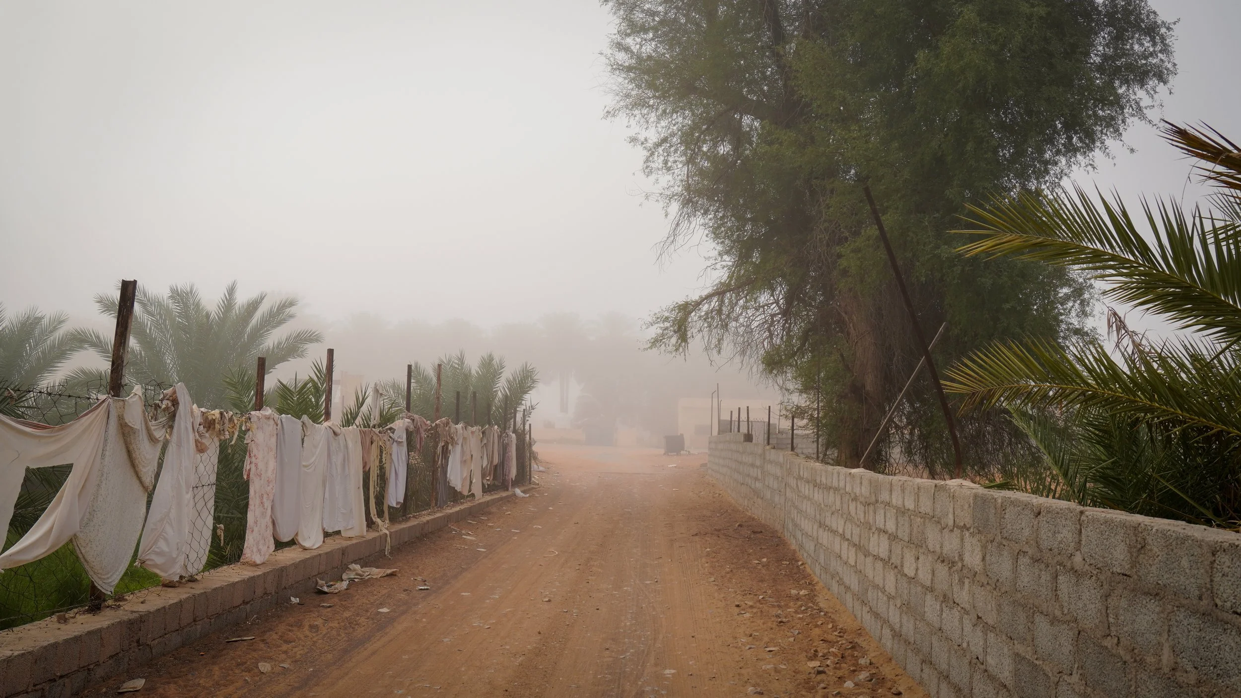 Oman-307.jpg