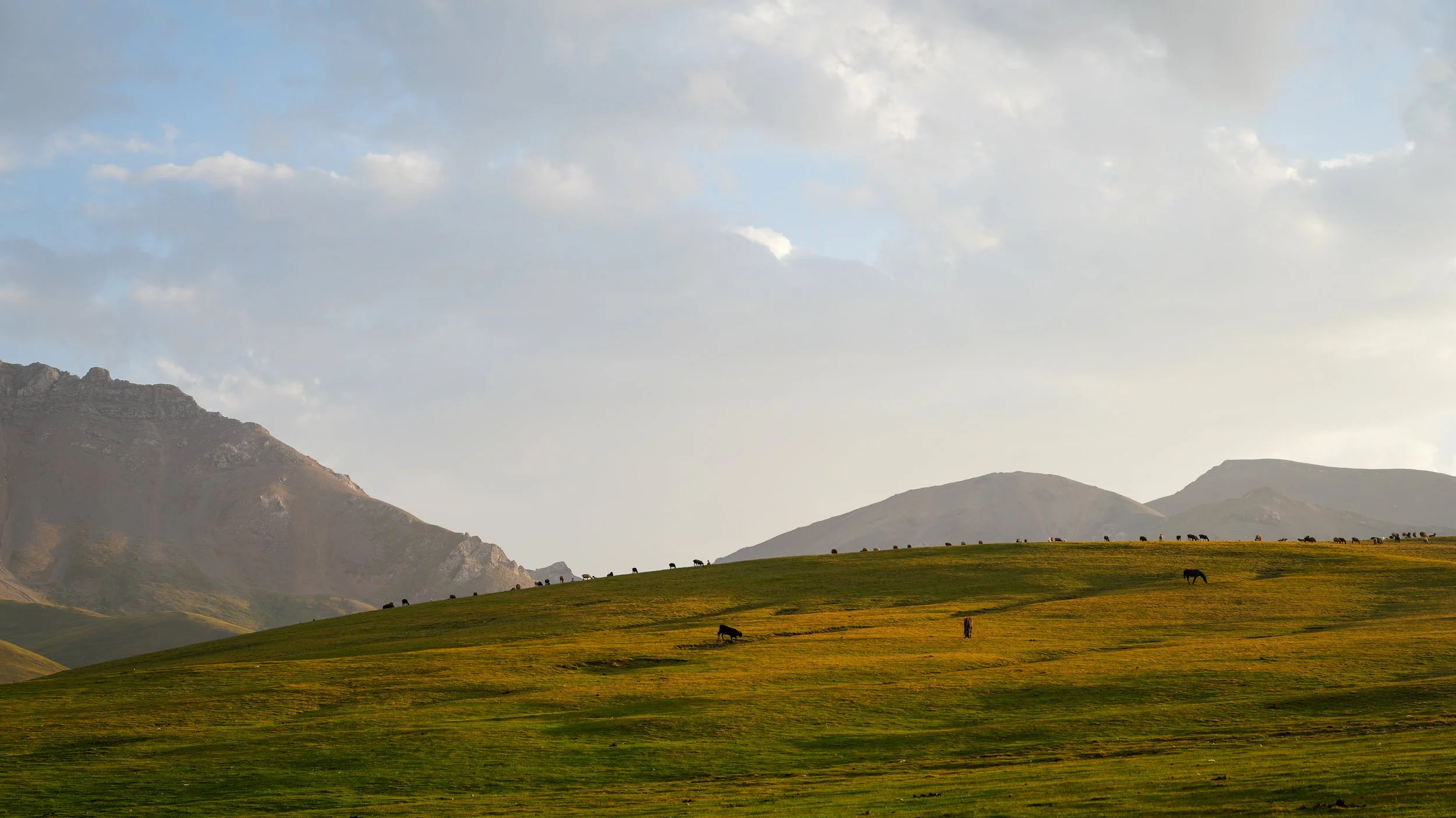 Great Game (2024)-412.jpg