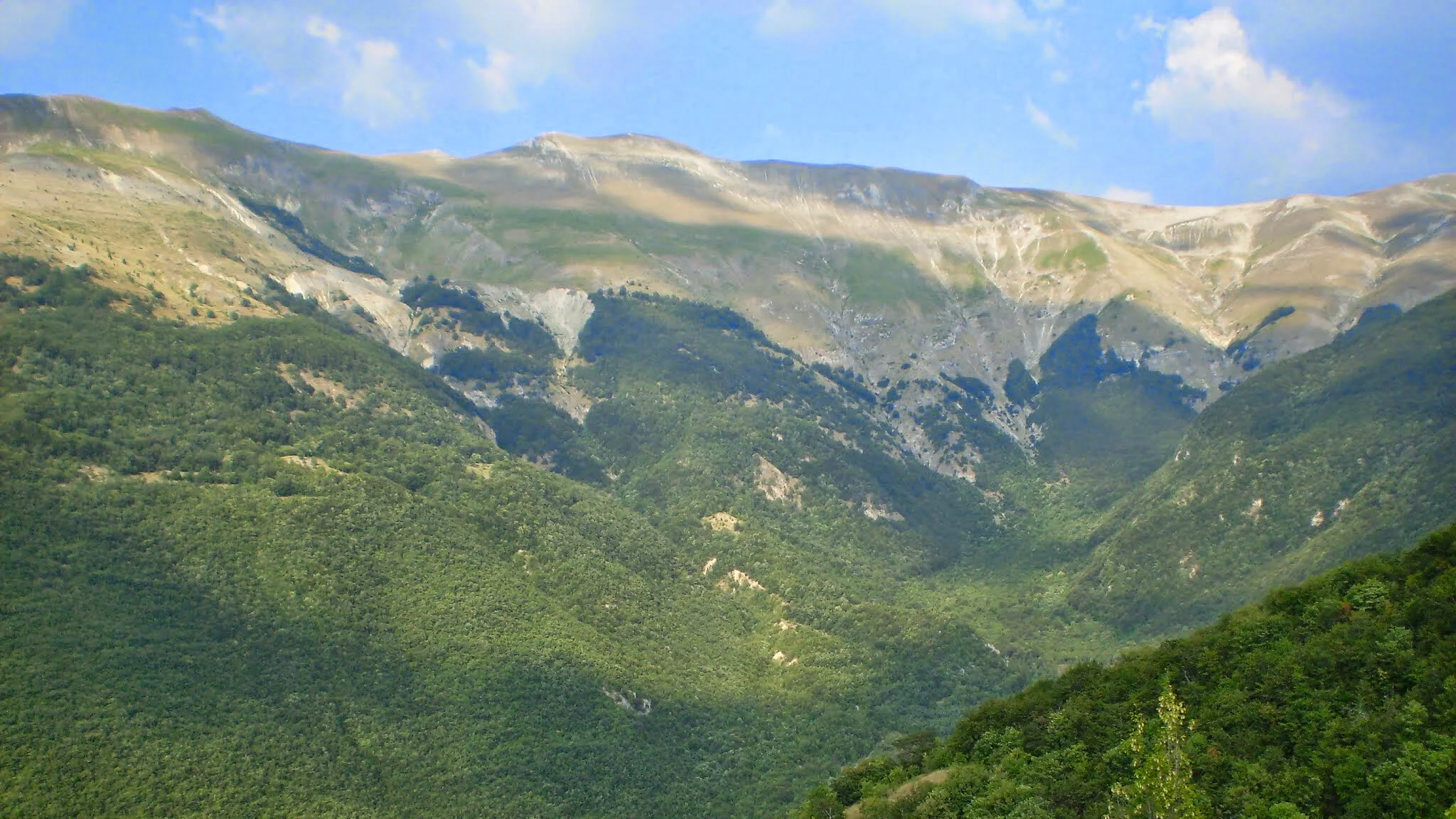 ilMagnicifo-056.jpg