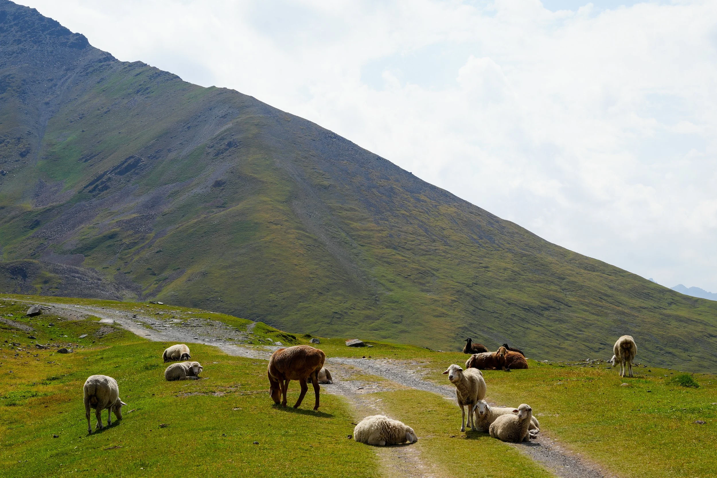 Great Game (2024)-121.jpg