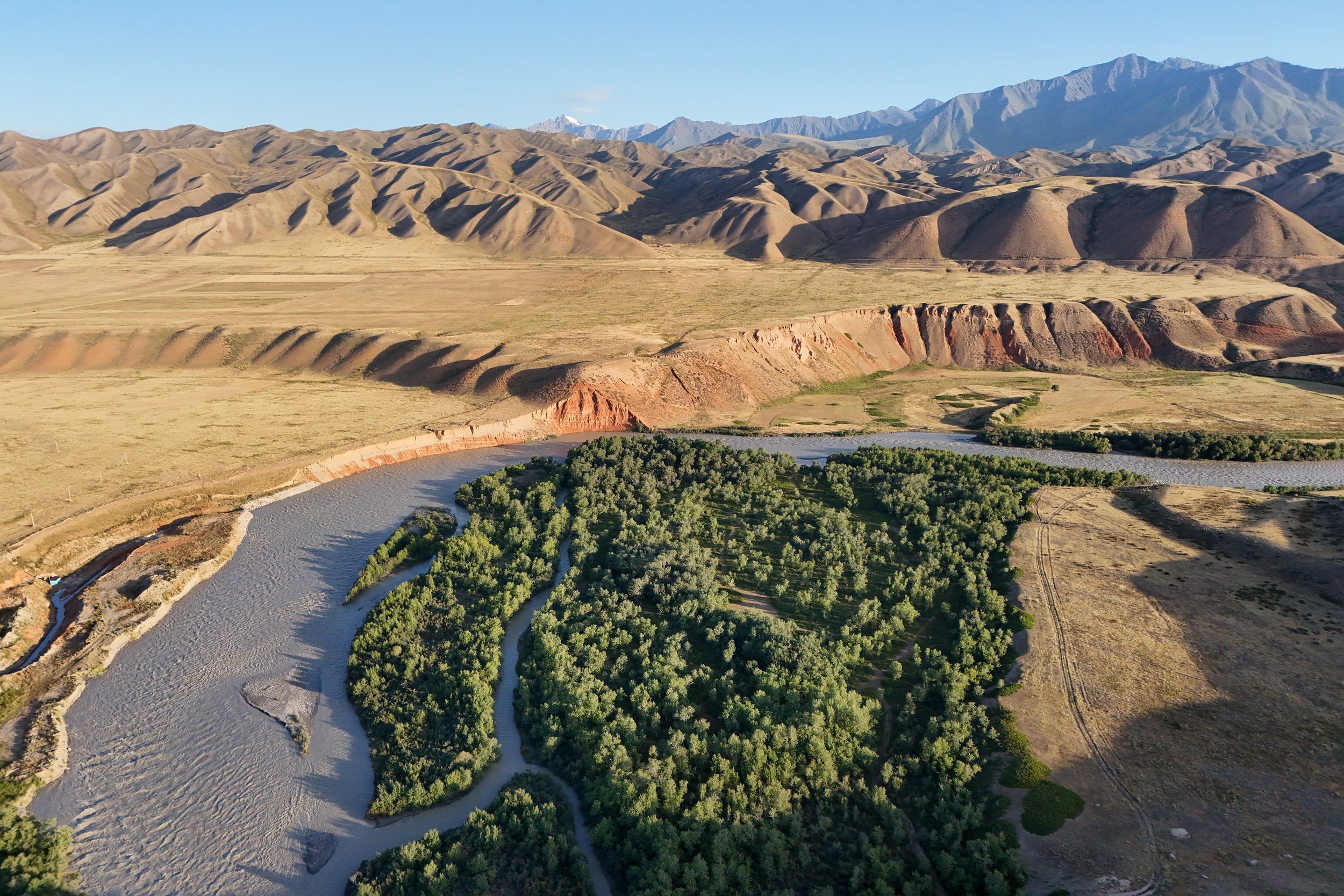 Great Game (2024)-0856.jpg