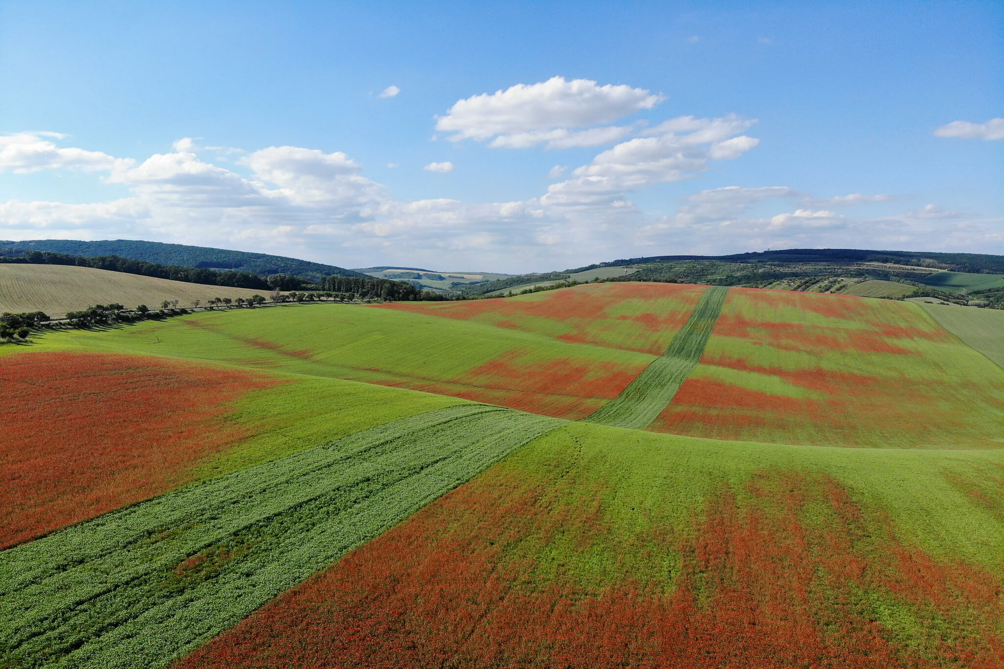 Czechia-53.jpg
