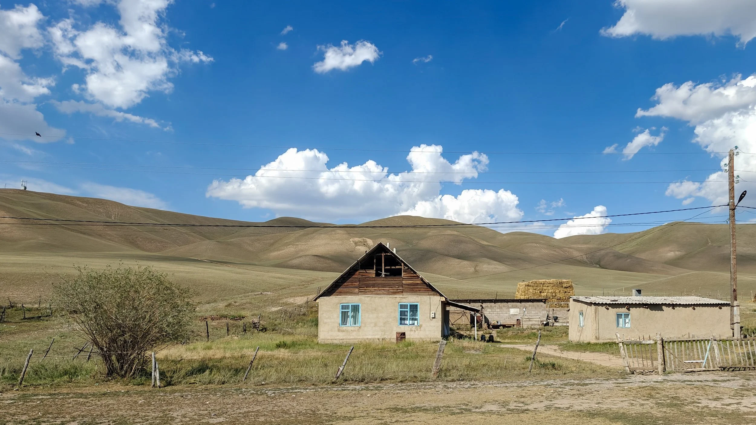 Great Game (2024)-192.jpg