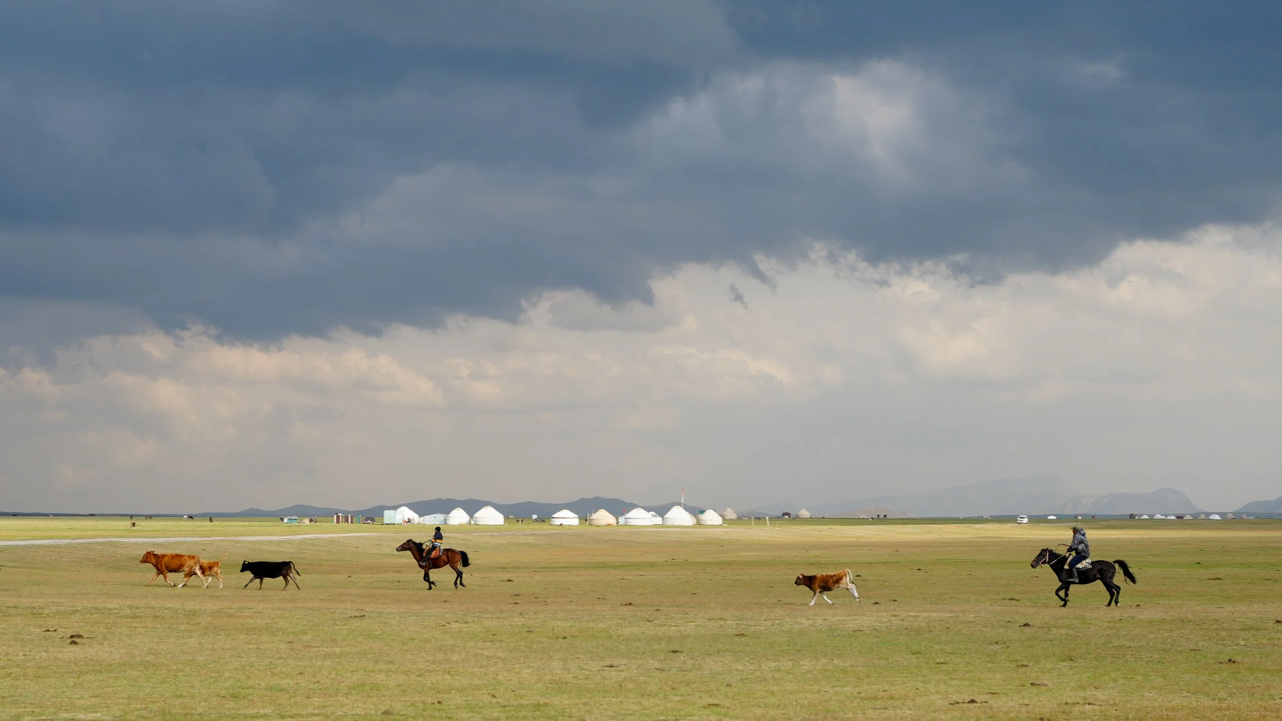 Great Game (2024)-500.jpg