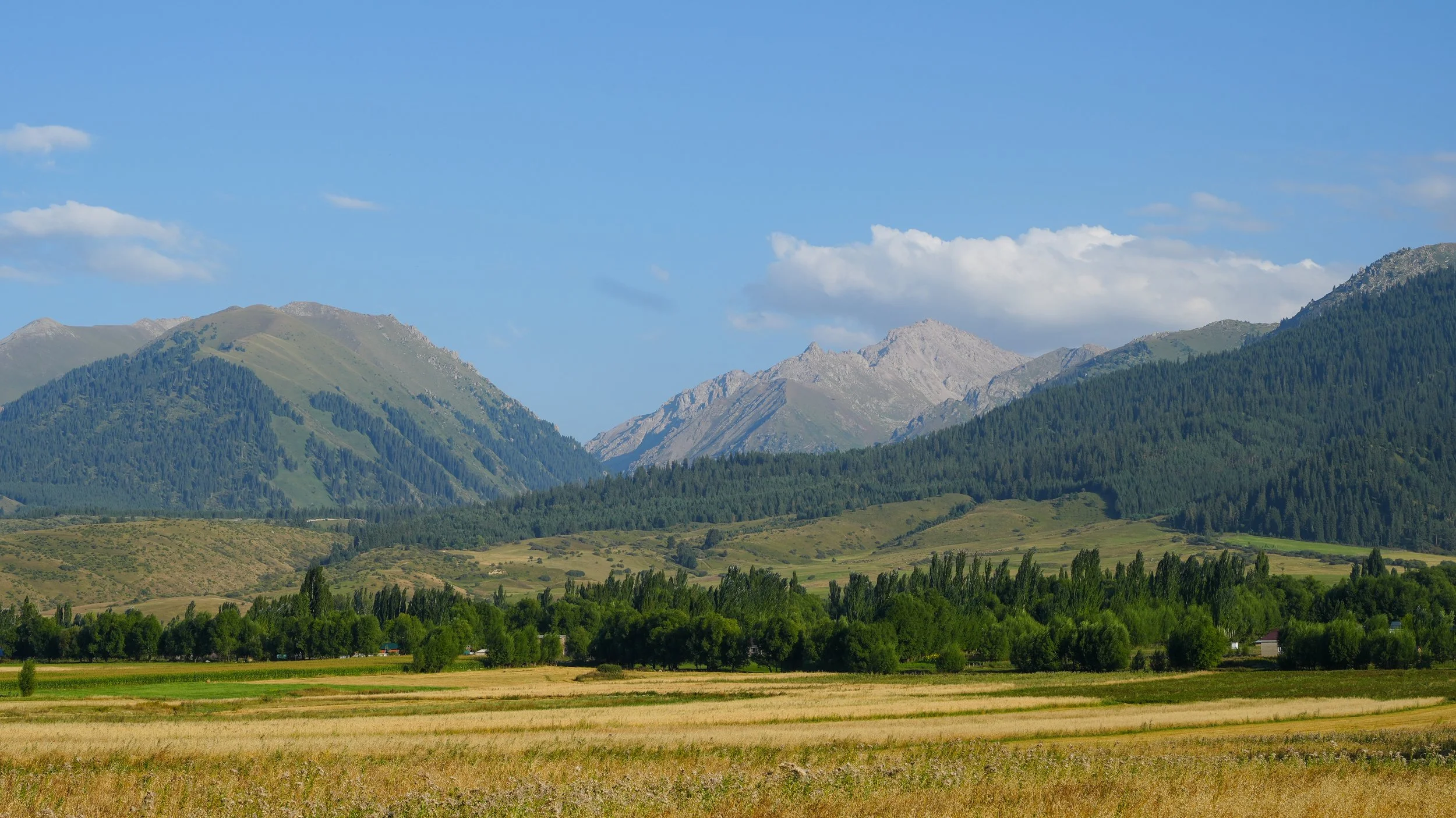 Great Game (2024)-1174.jpg