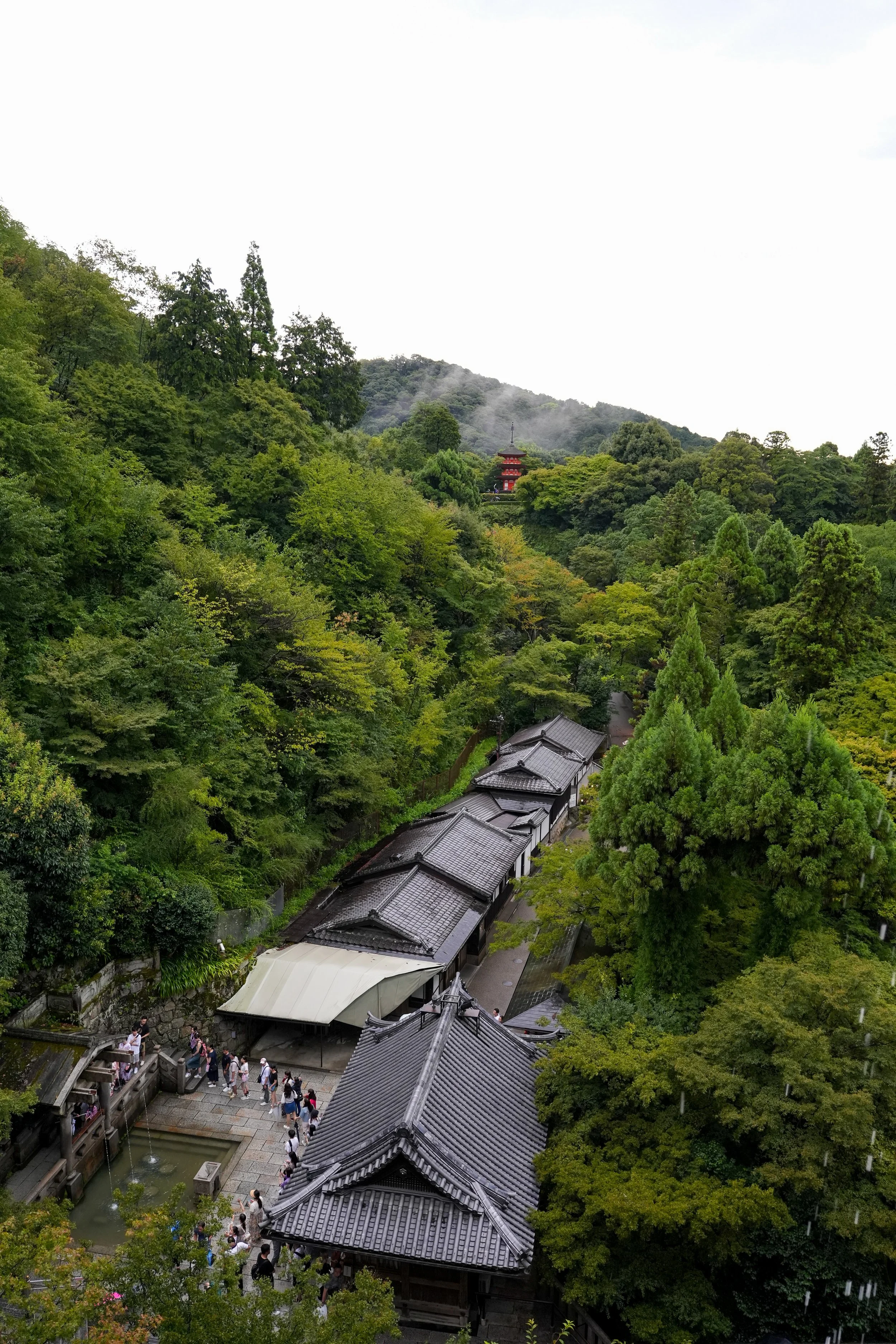 Nippon-0675.jpg