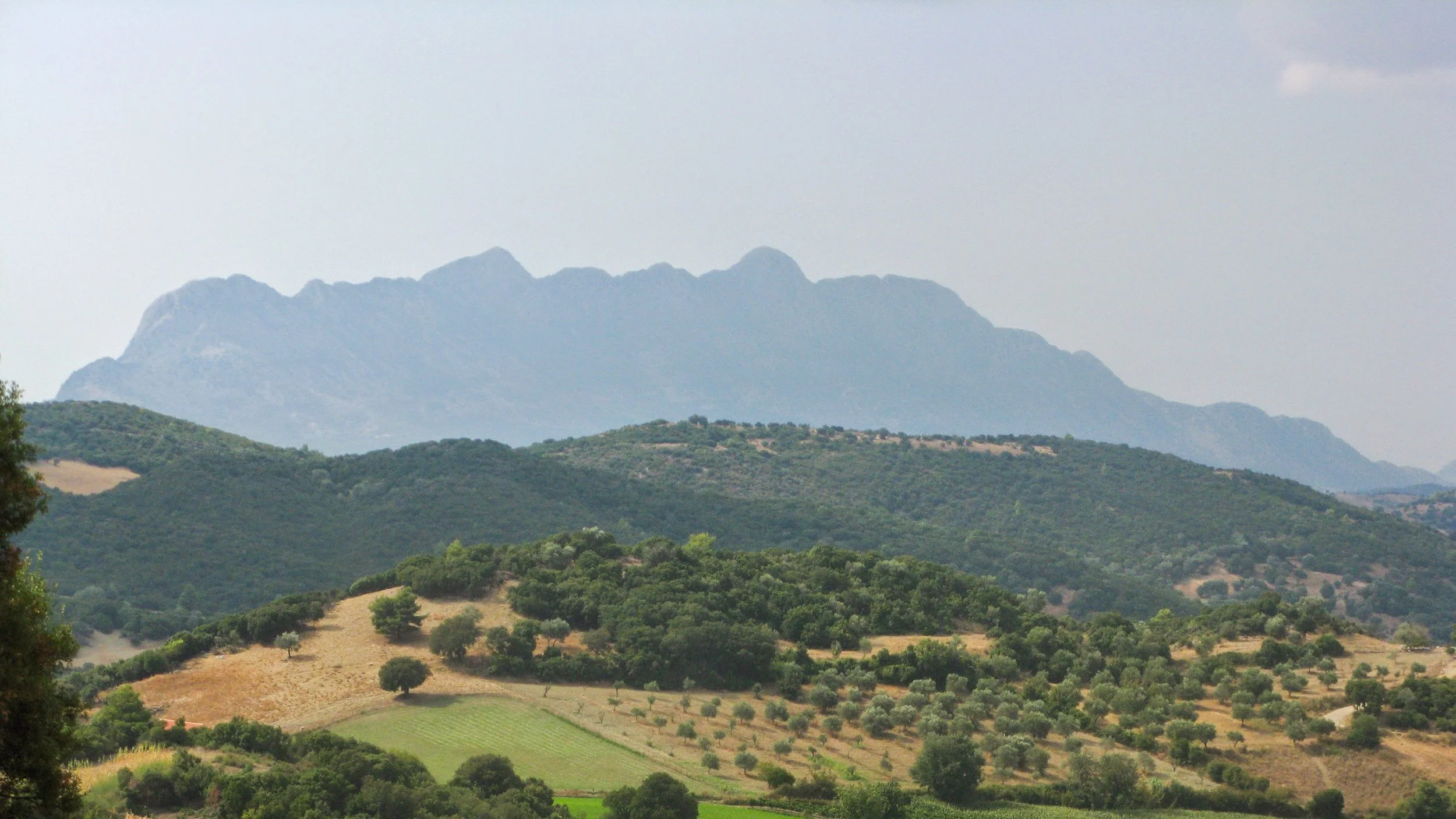Hellas-124.jpg