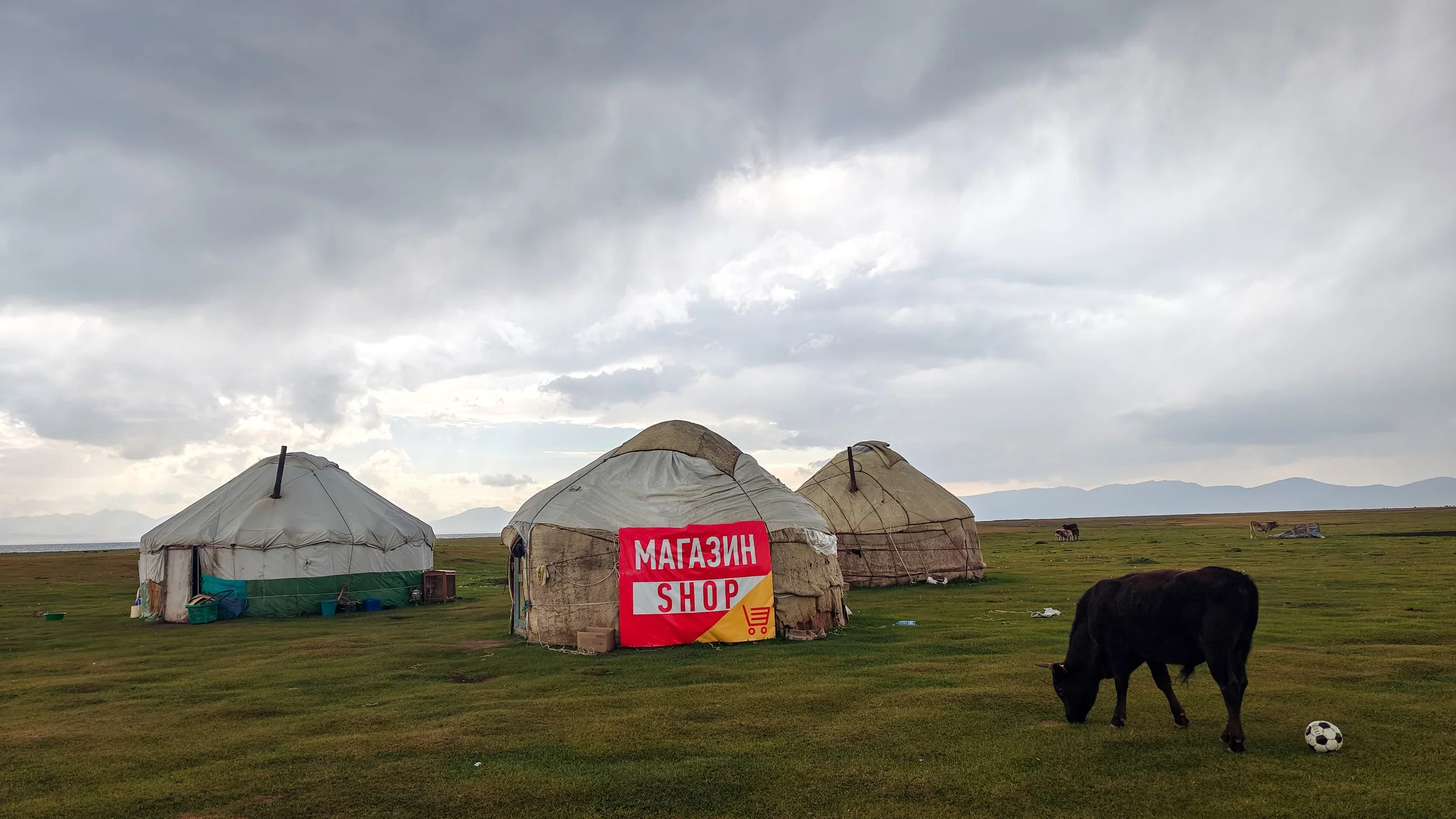 Great Game (2024)-514.jpg