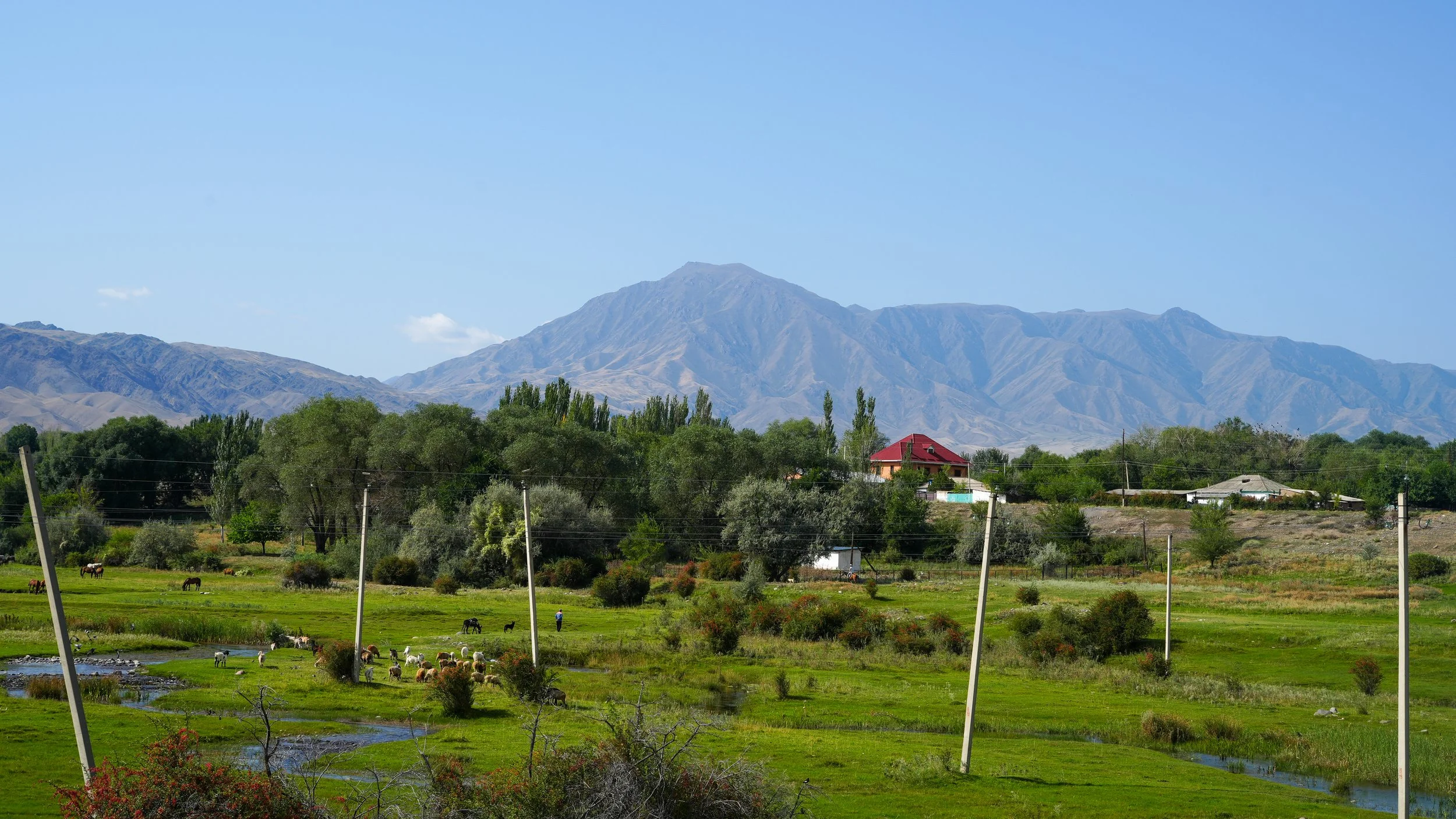 Great Game (2024)-1297.jpg