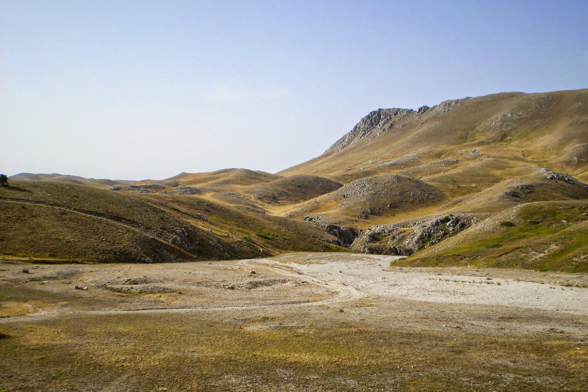ilMagnicifo-122.jpg