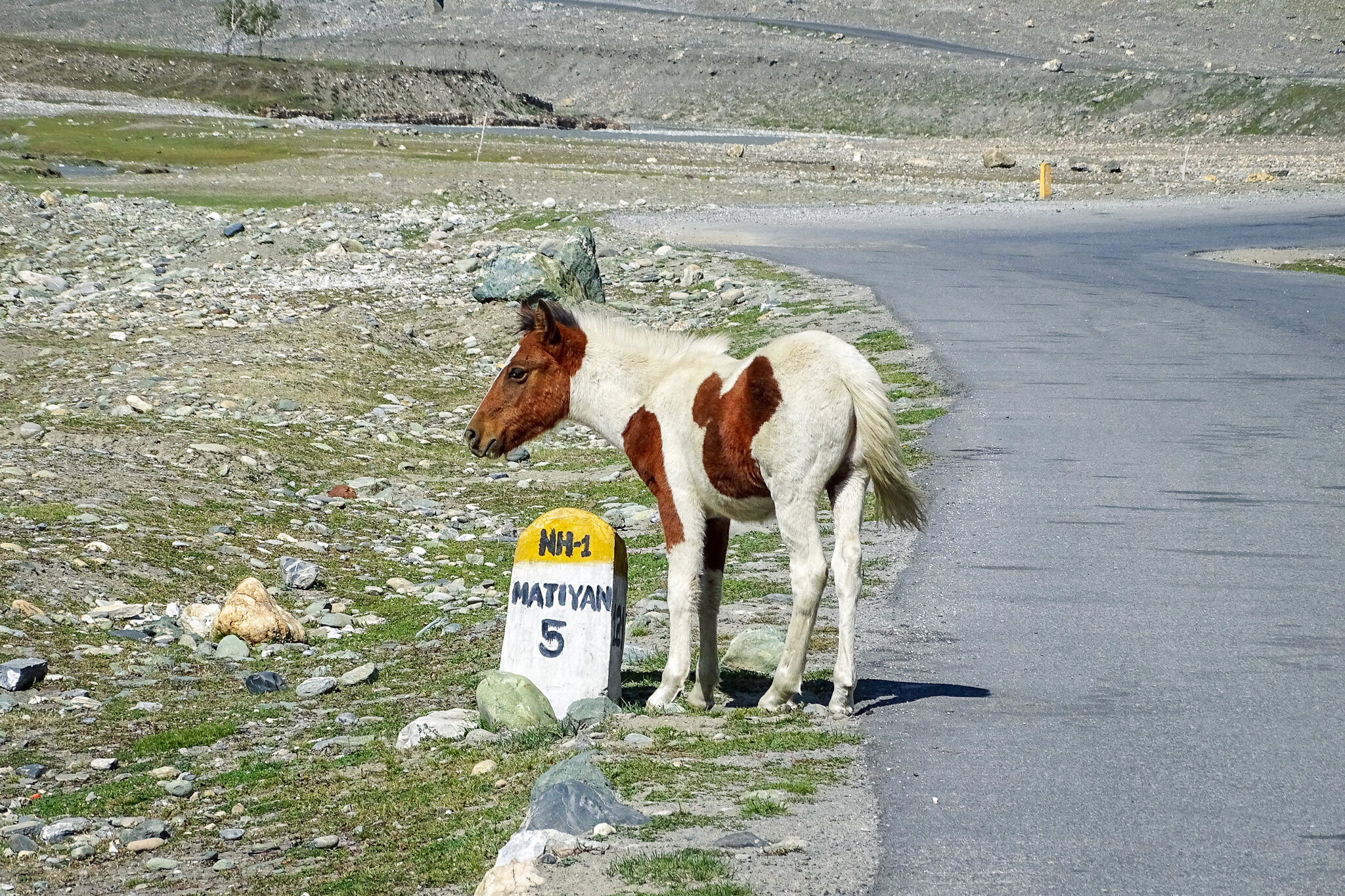 Himmelfahrt-376.jpg