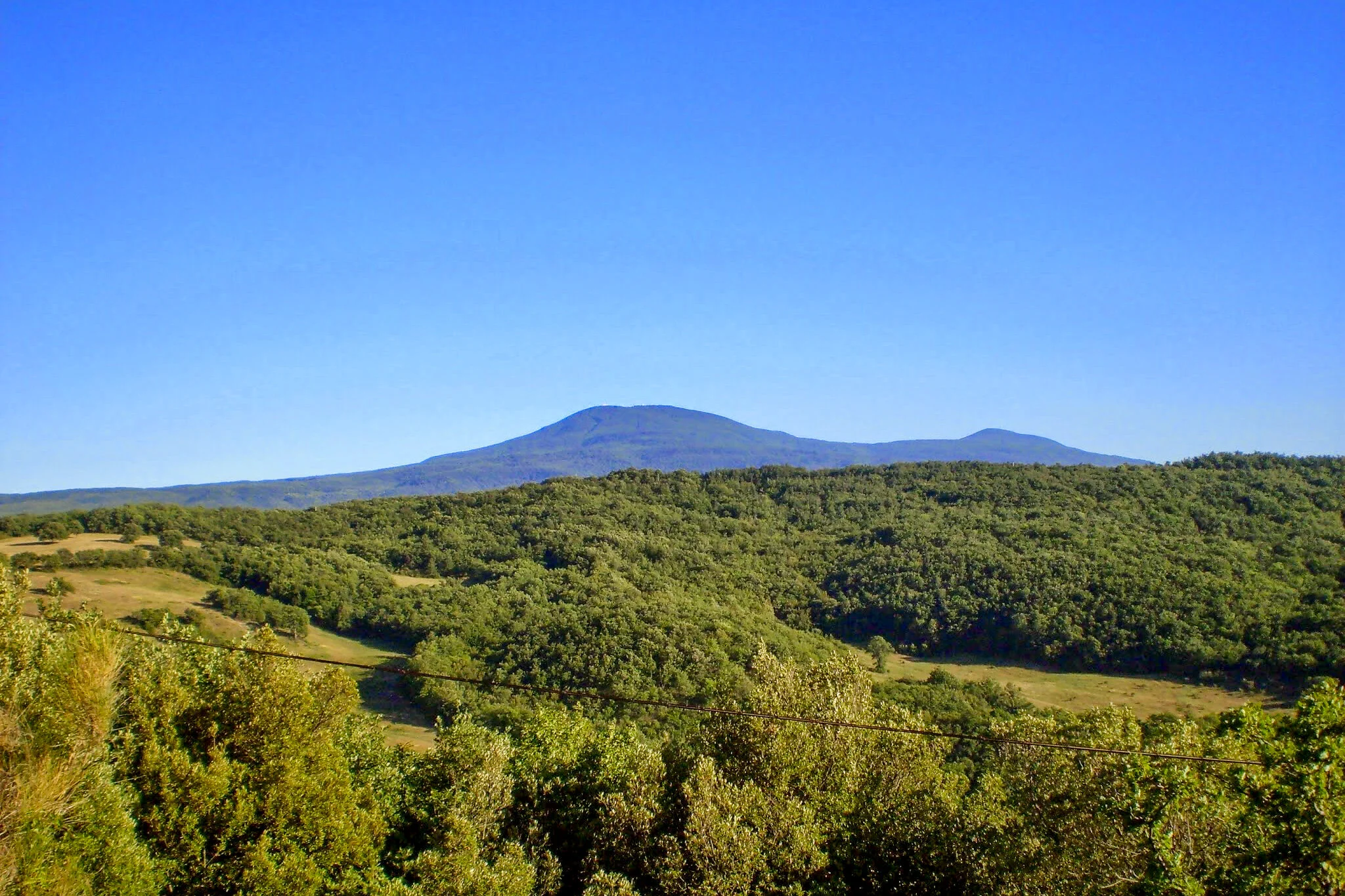 ilMagnicifo-030.jpg