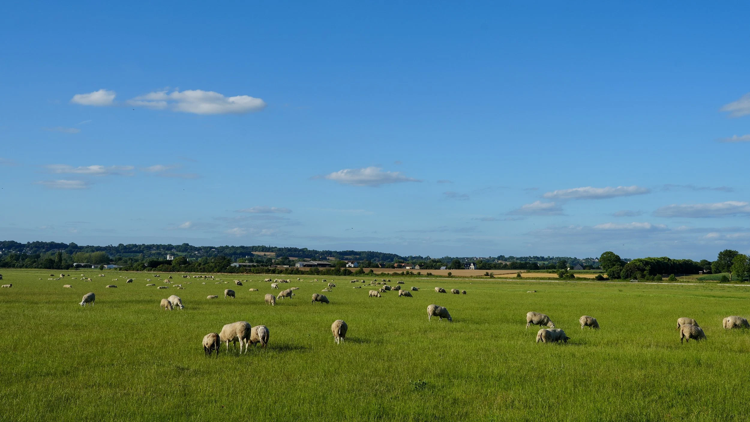 Normandy-079.jpg
