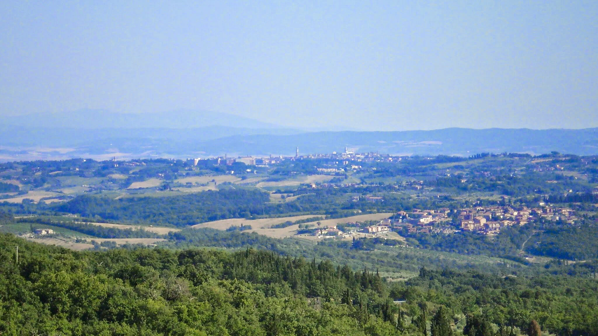 ilMagnicifo-012.jpg