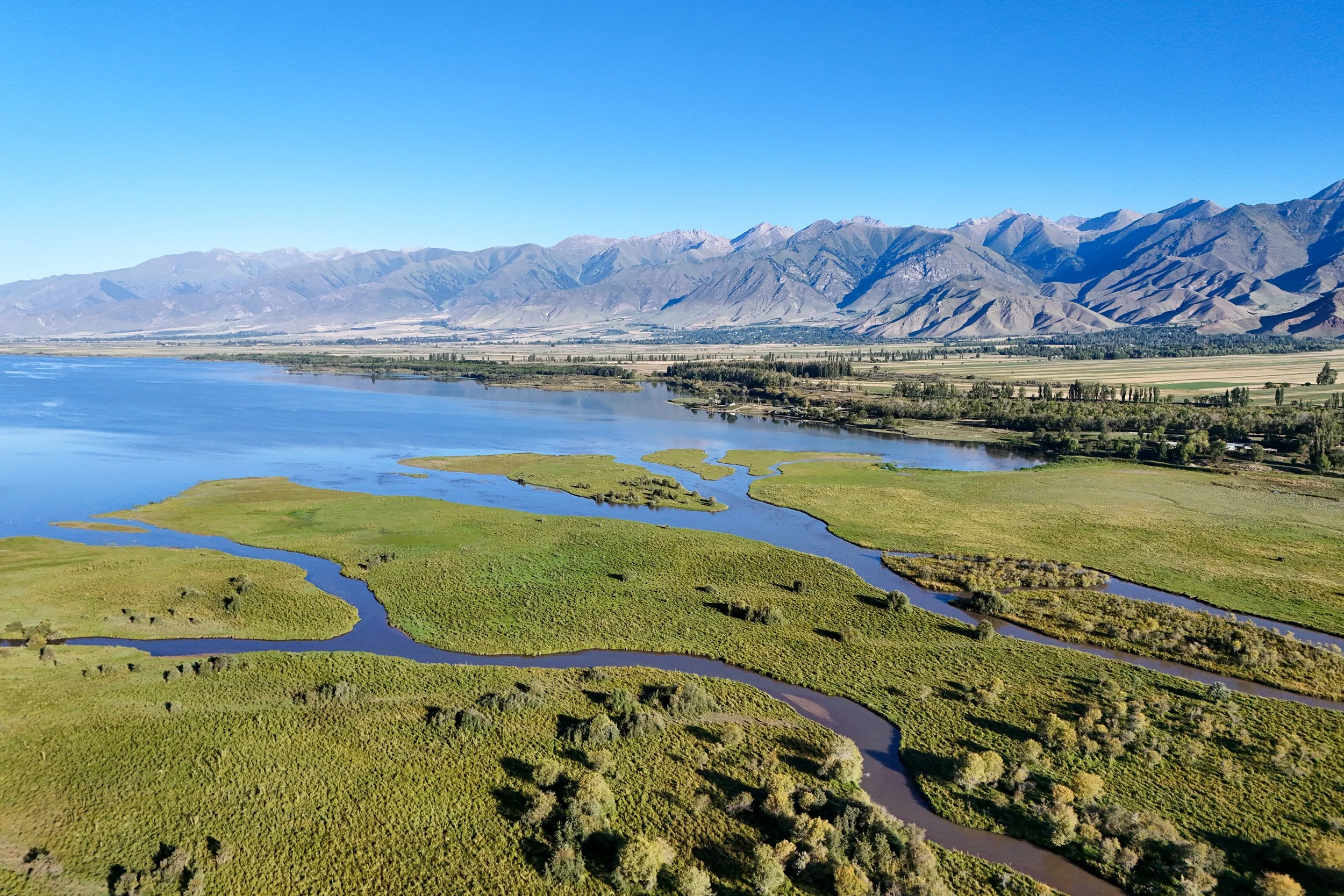 Great Game (2024)-1394.jpg