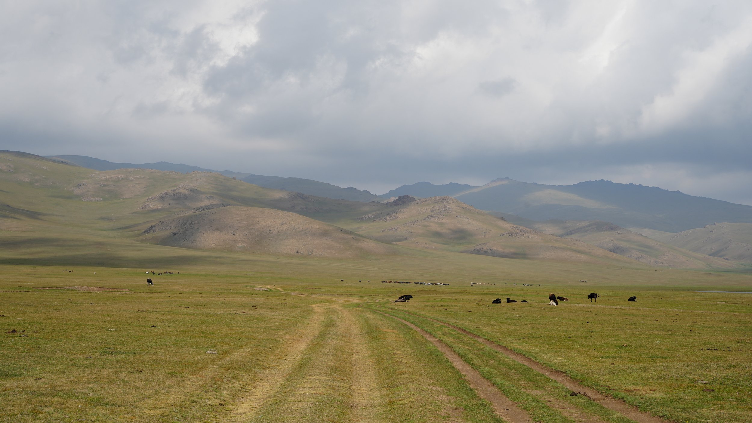 Great Game (2024)-451.jpg