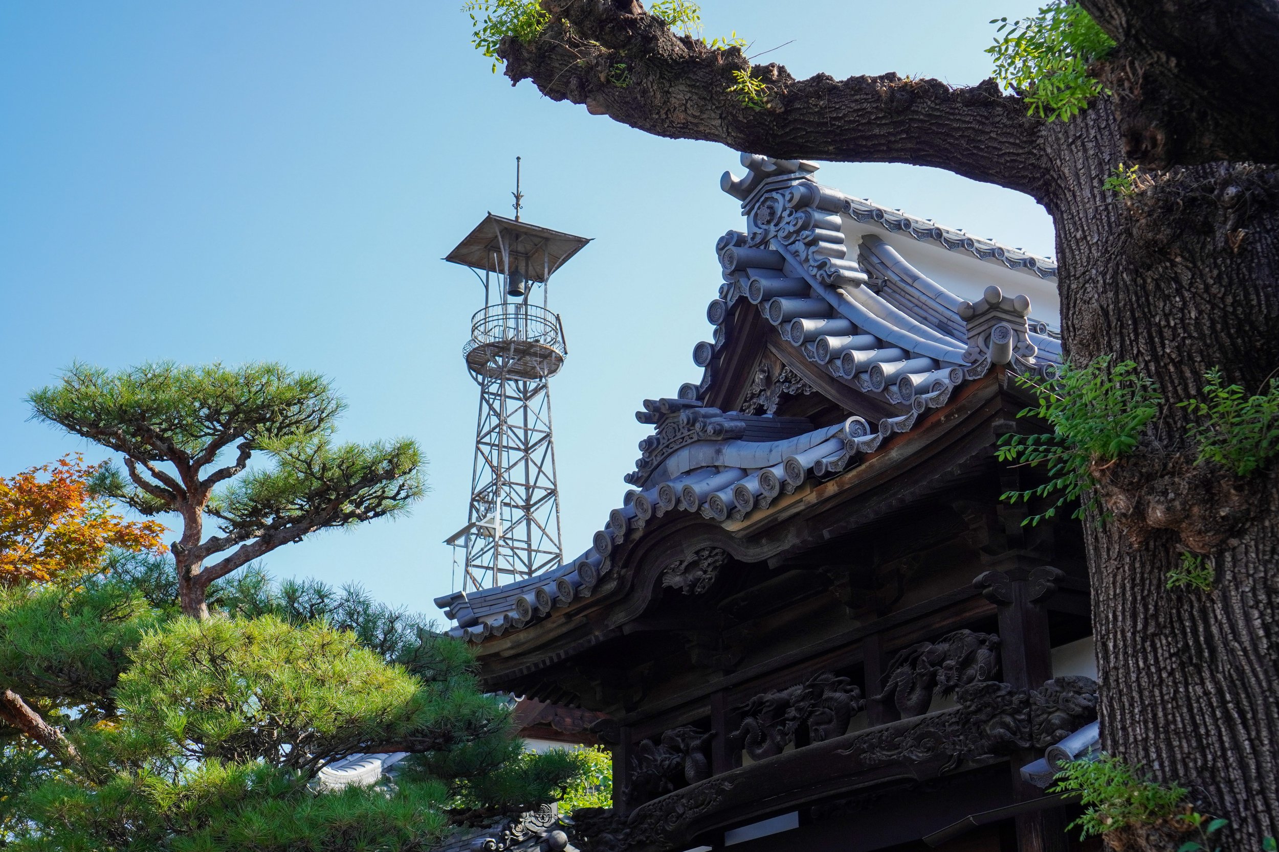 Nippon-0458.jpg