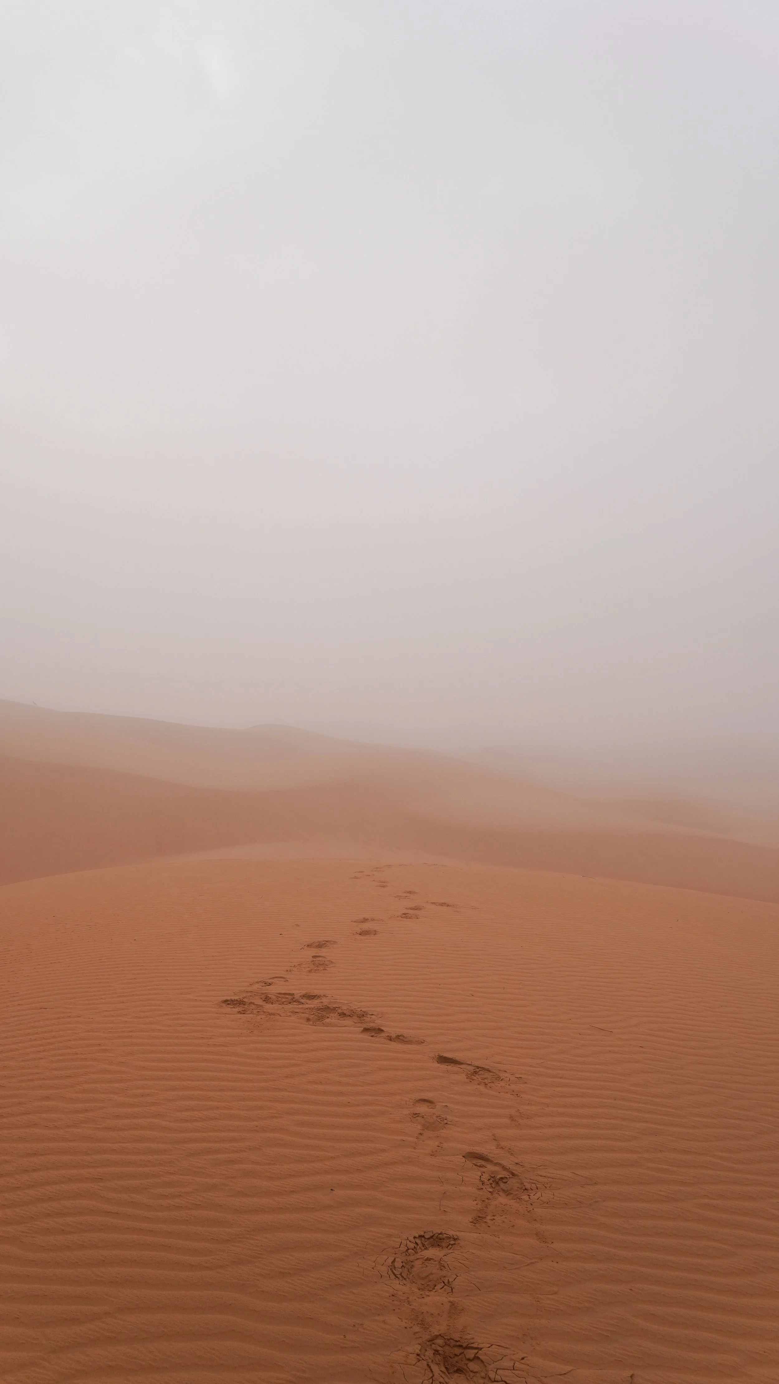 Oman-311.jpg