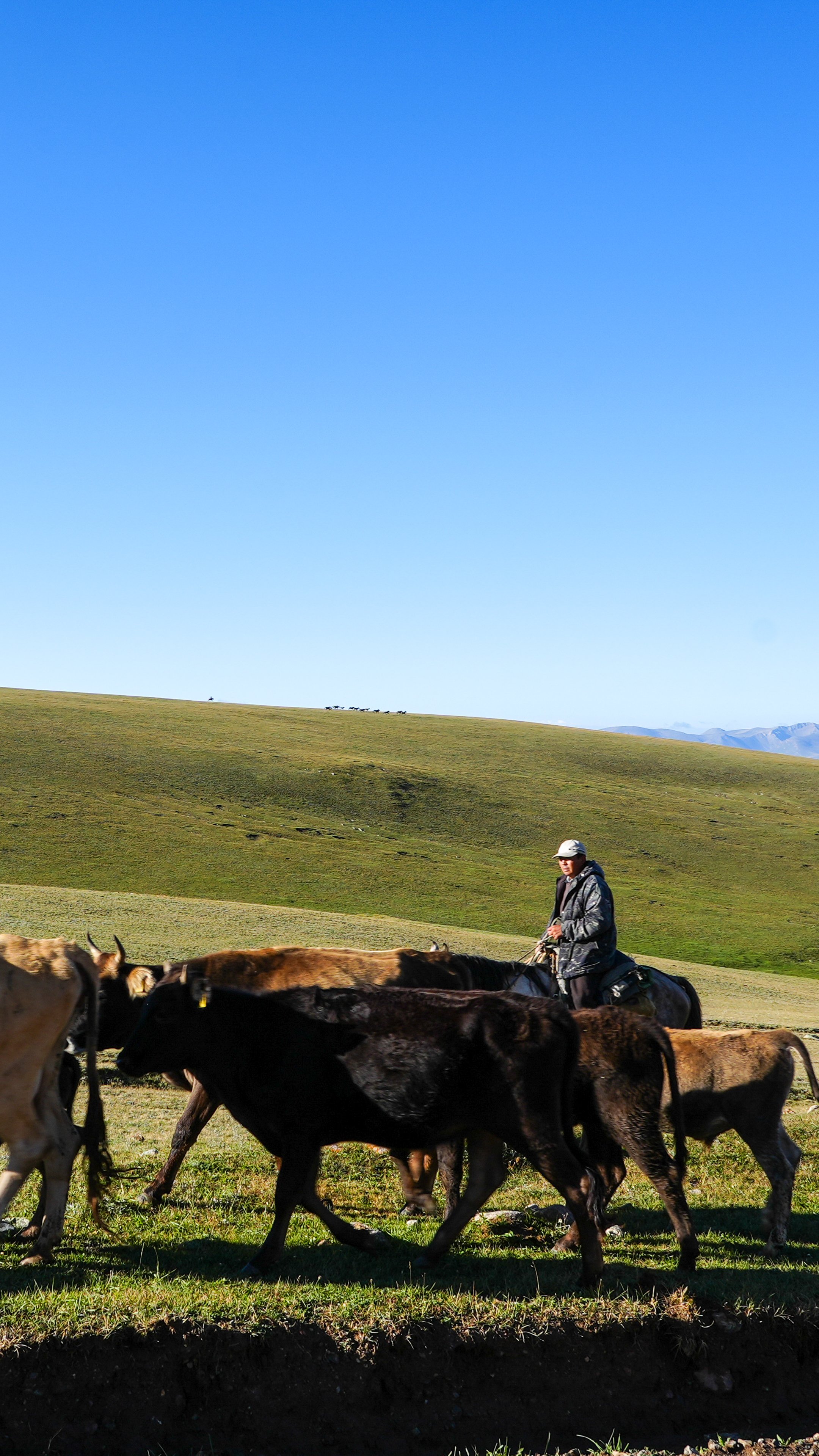 Great Game (2024)-557.jpg