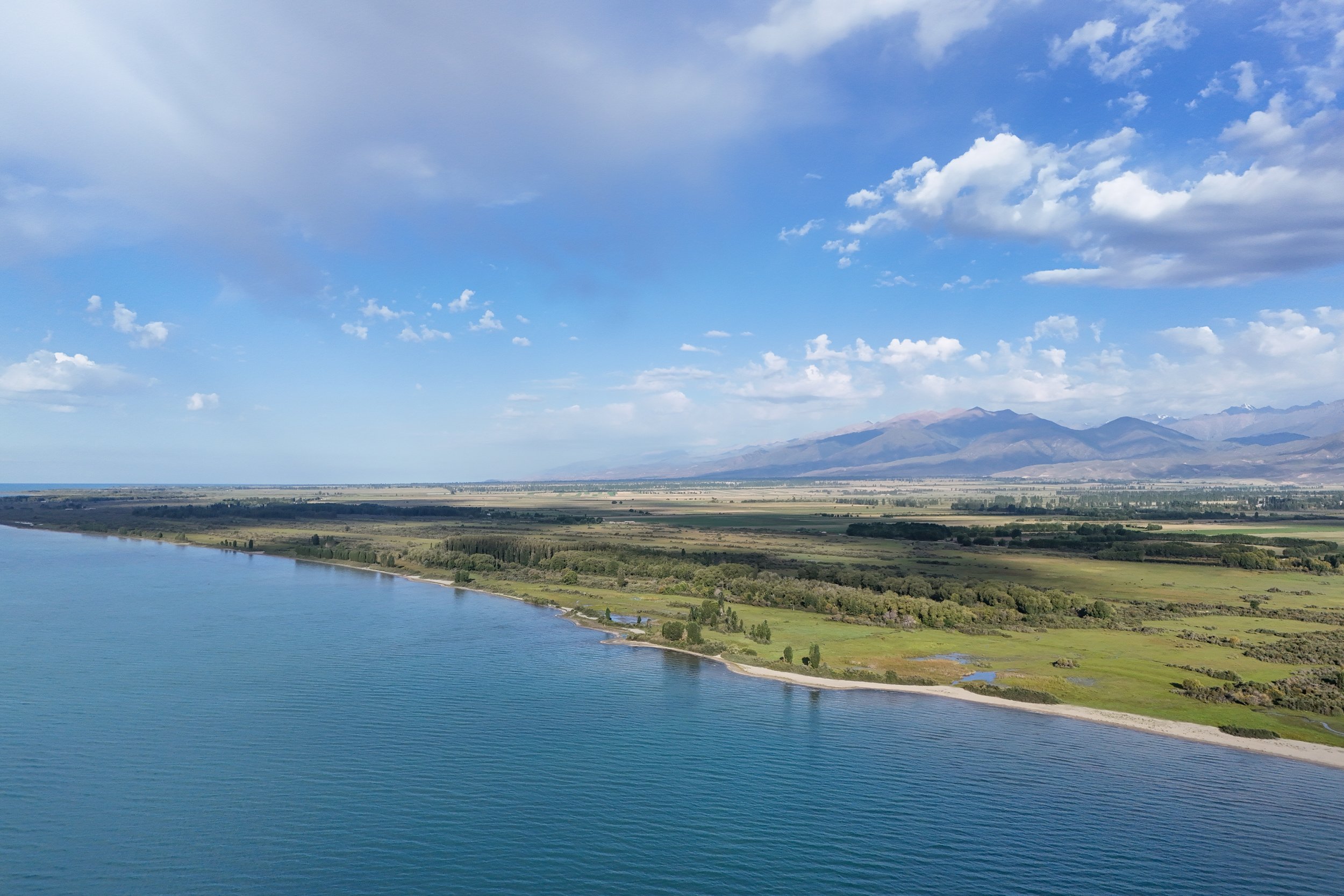 Great Game (2024)-1468.jpg