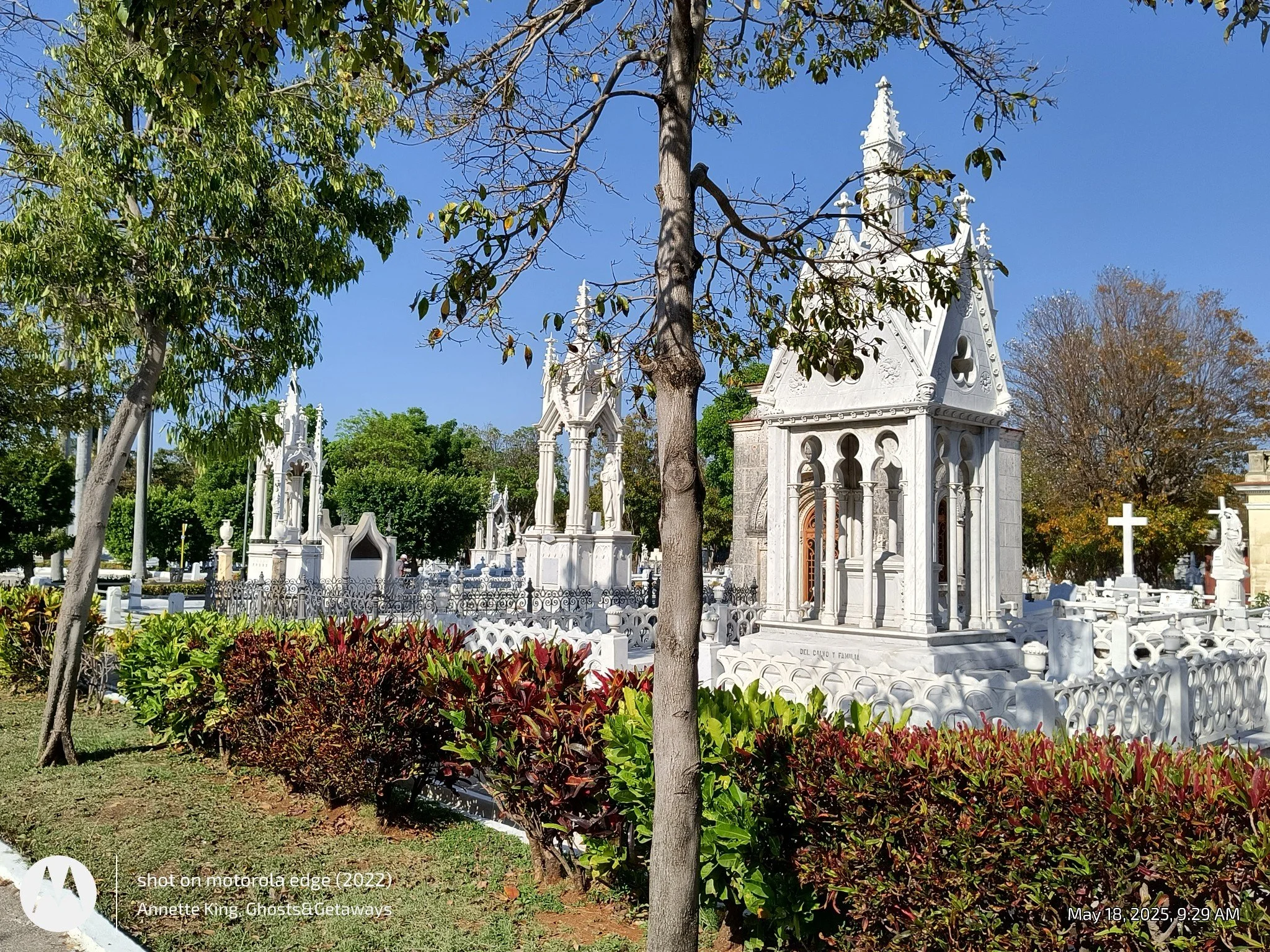 View of a cemetery with white mausoleums and tombstones, surrounded by trees and colorful landscaping, under a clear blue sky.