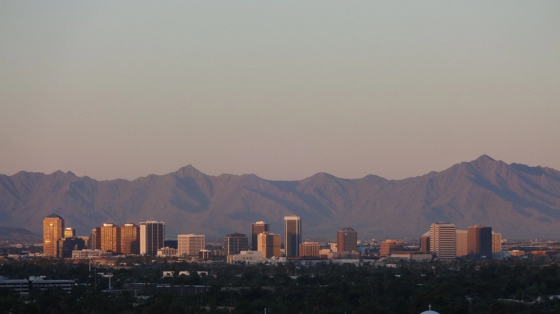 phoenix-4088513_1920.jpg