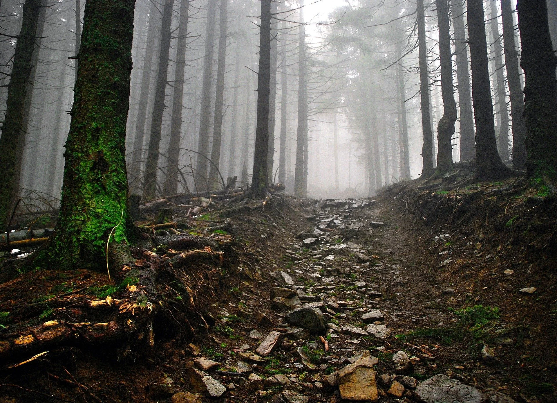 Trail of Terror: 20 Haunted Hikes Across America, Part 1