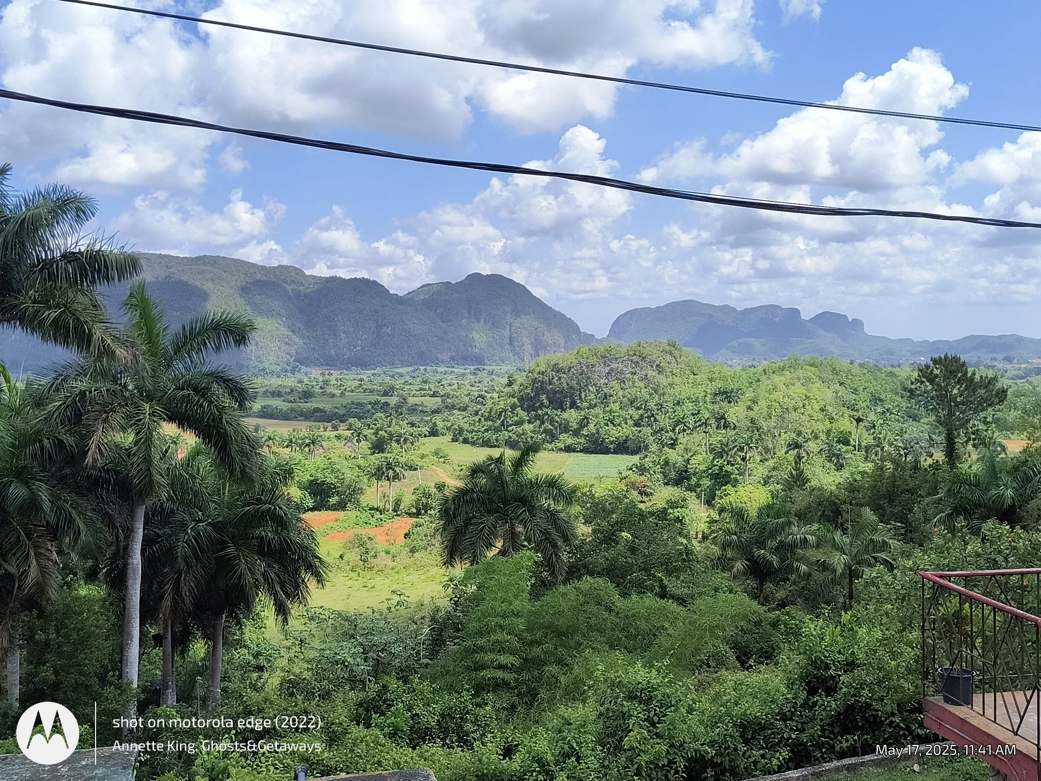 Scenic view of green lush landscape with trees and bushes, mountains in the background, and a partly cloudy sky with some clouds and visible power lines overhead.