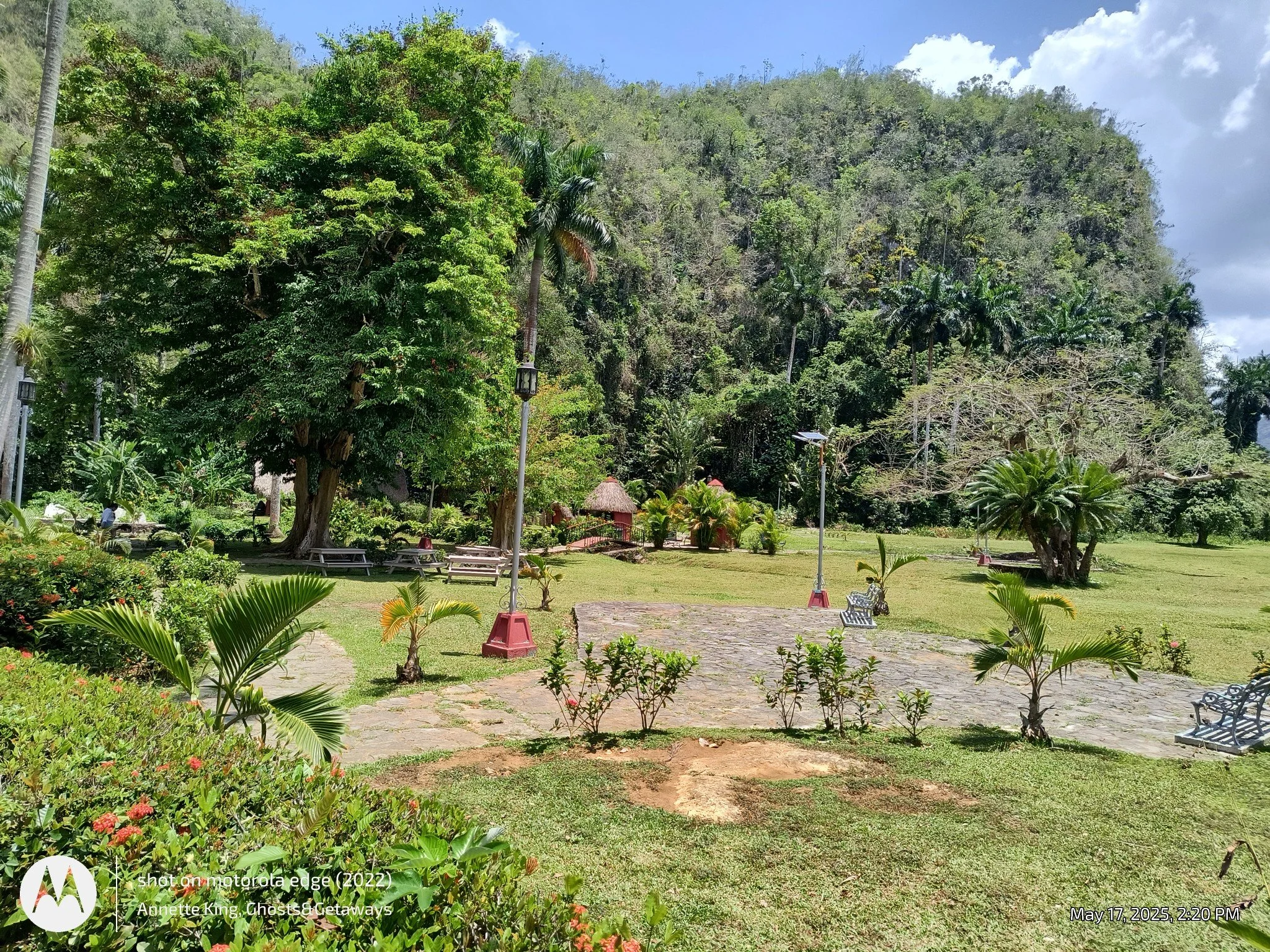 A lush green park with large trees, benches, and pathways, with a hillside in the background and partly cloudy sky.