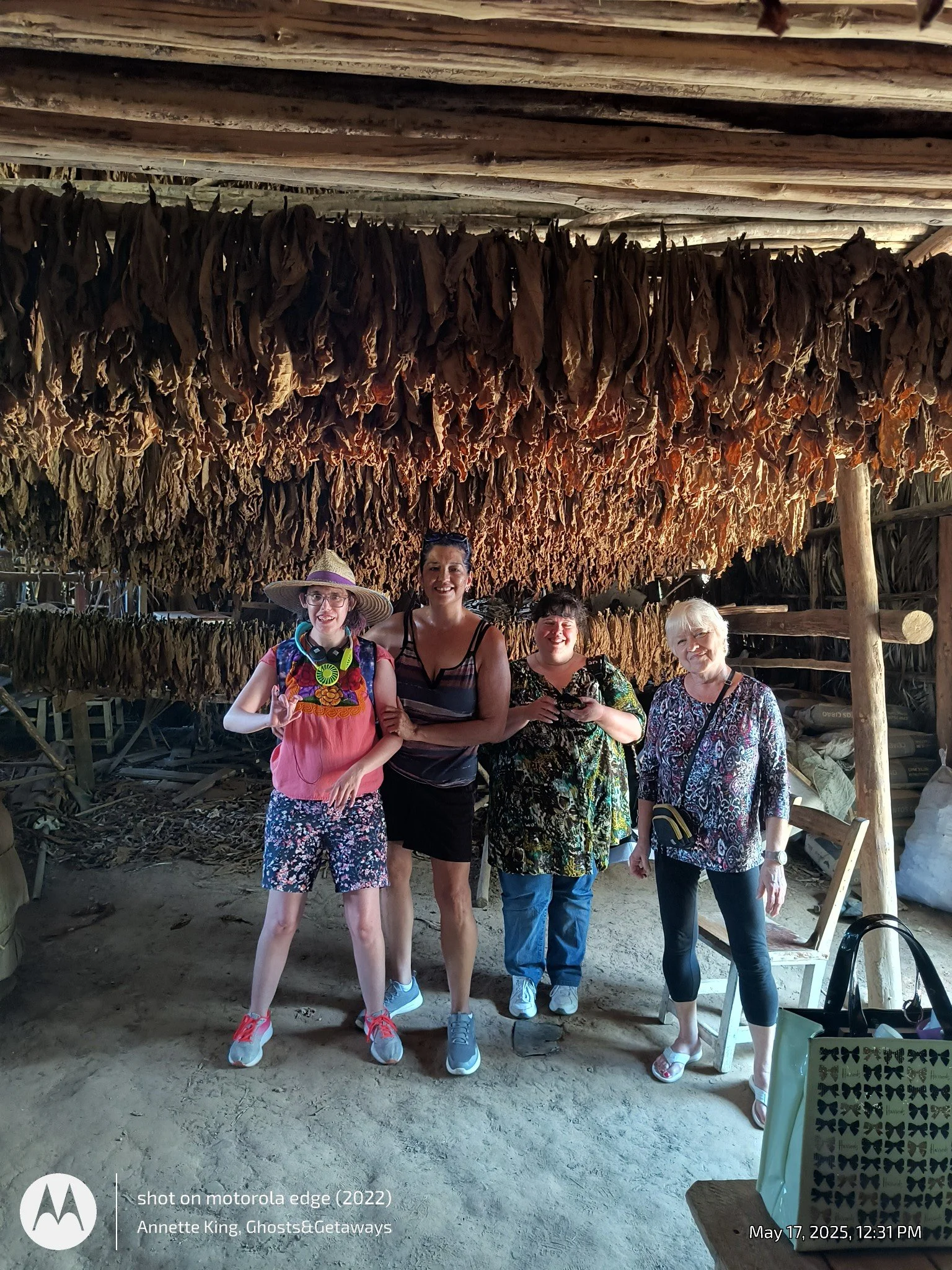 Four women standing inside a rustic hut with dried tobacco leaves hanging from the ceiling behind them. They are smiling and posing for the photo, with one woman wearing a wide-brimmed hat and colorful shirt, and three others dressed in casual clothi